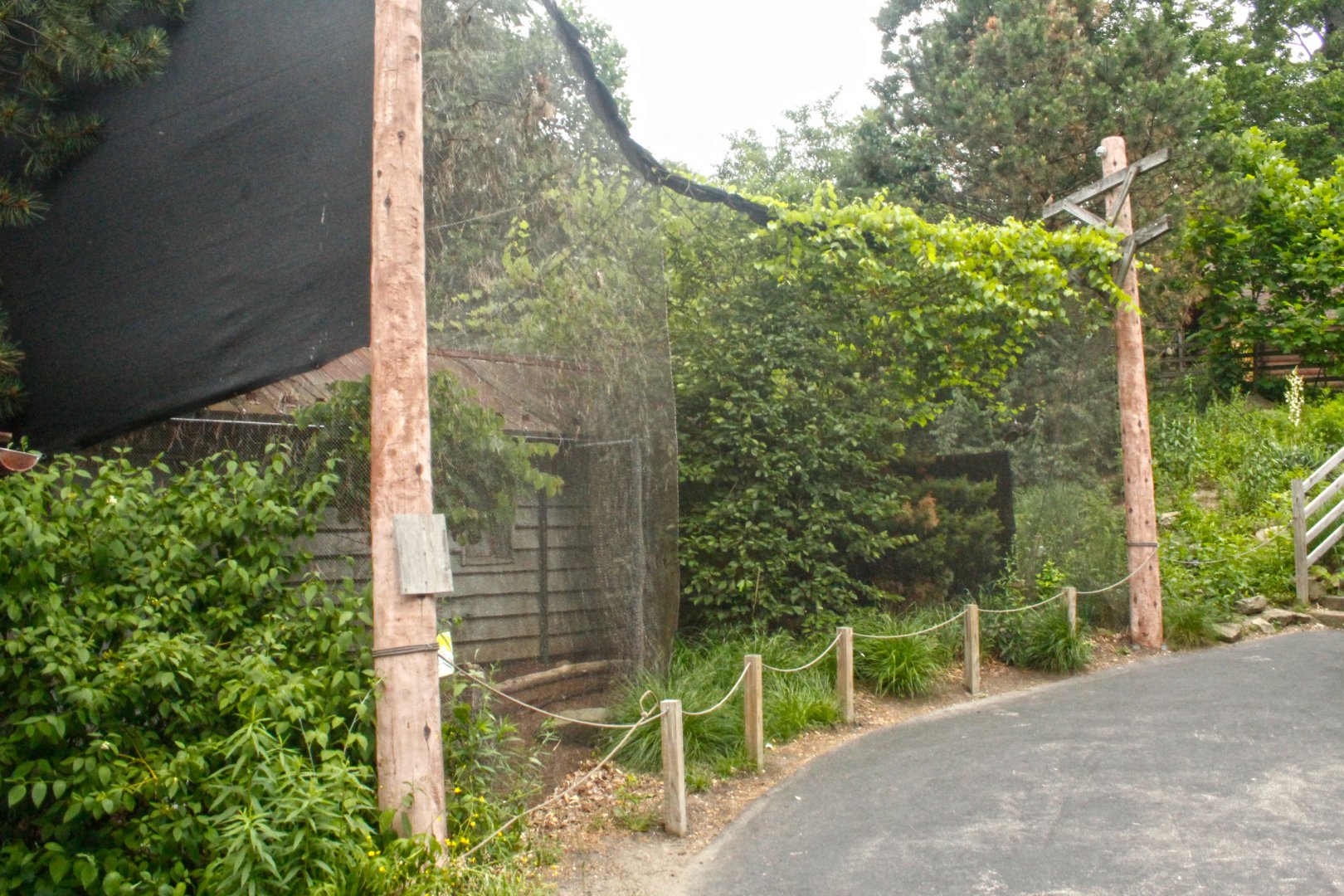 Jun. 2017 - Grizzly Ridge - Snow Owl + Burrowing Owl Aviary