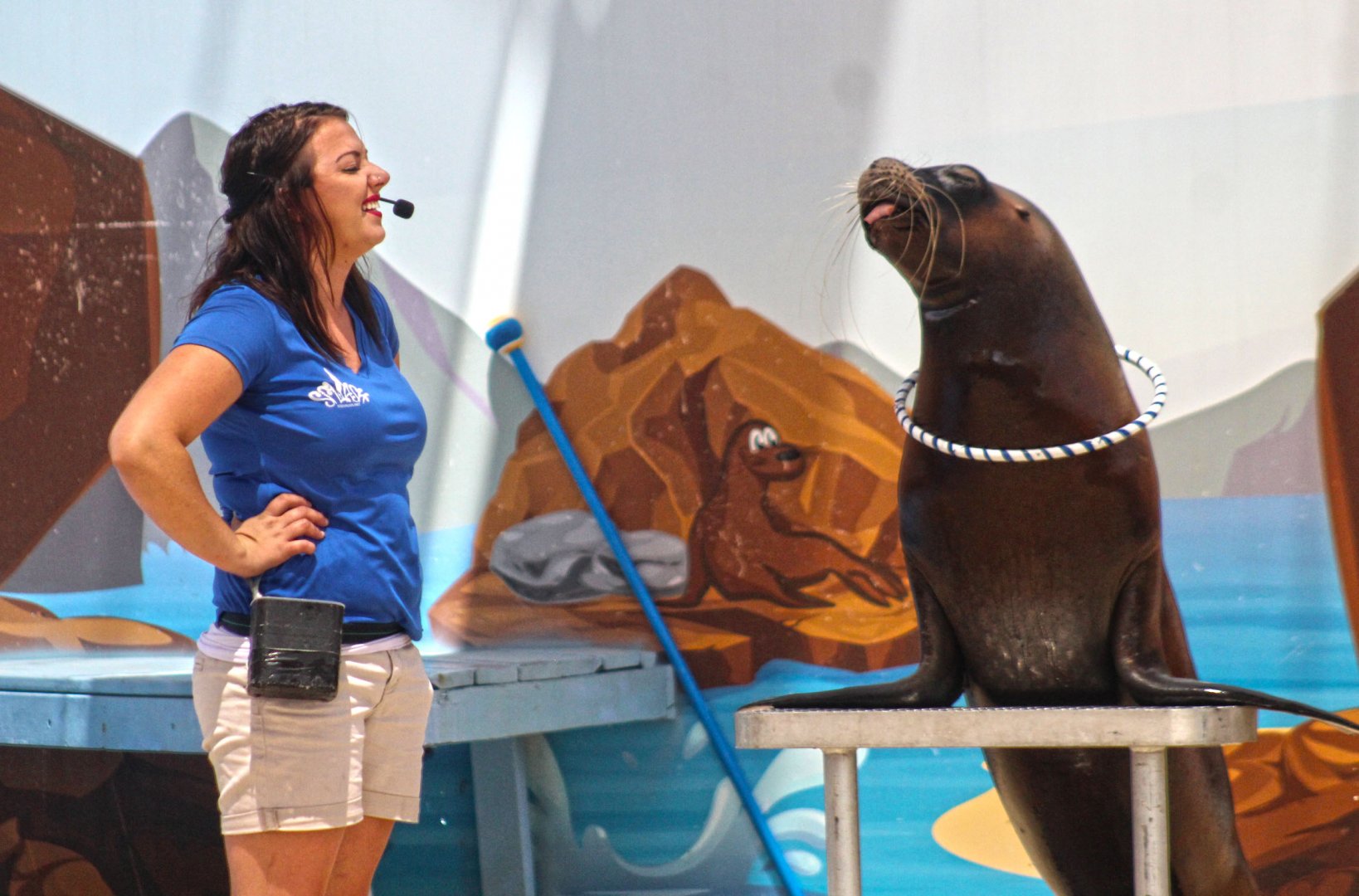 Jun. 2017 - Kentucky Kingdom Sea Lion Splash Show