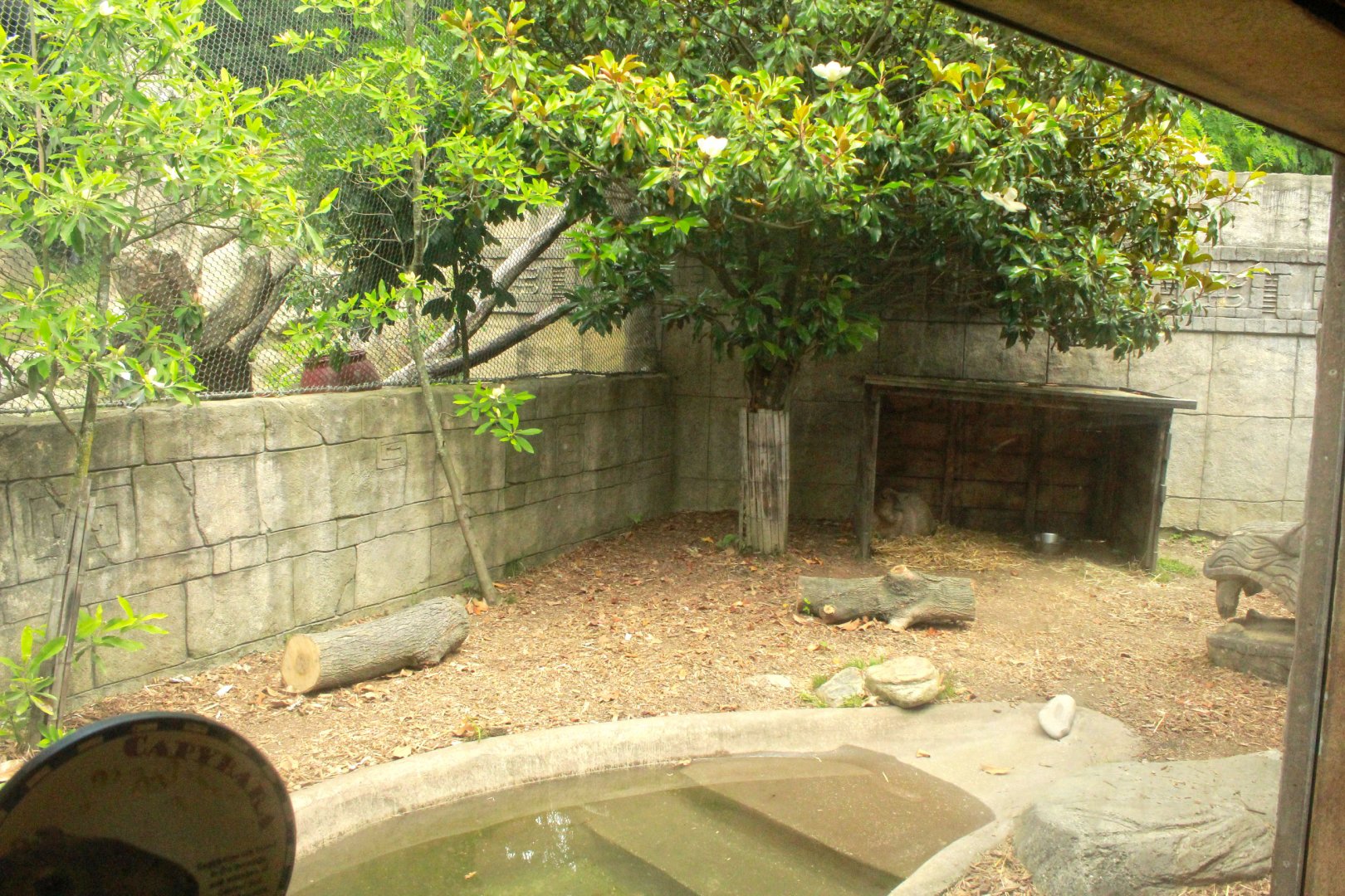 Jun. 2017 - Legends Of The Wild - Capybara + Jaguar Exhibits