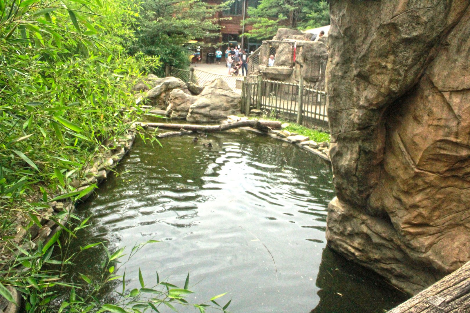 Jun. 2017 - Legends Of The Wild - First Side Of Waterfowl Exhibit