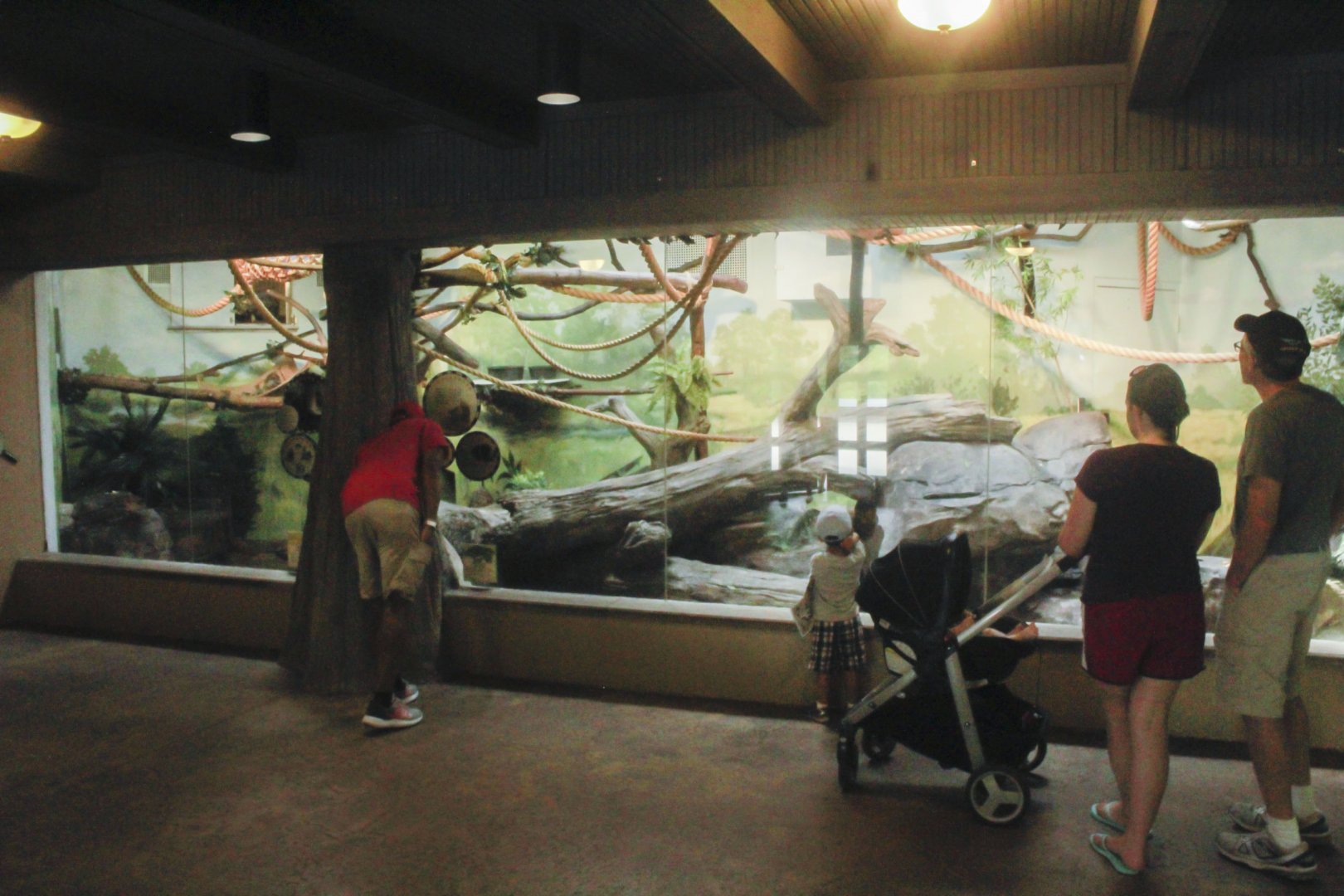 Jun. 2017 - Madagascar - First Half Of The Lemur Exhibit