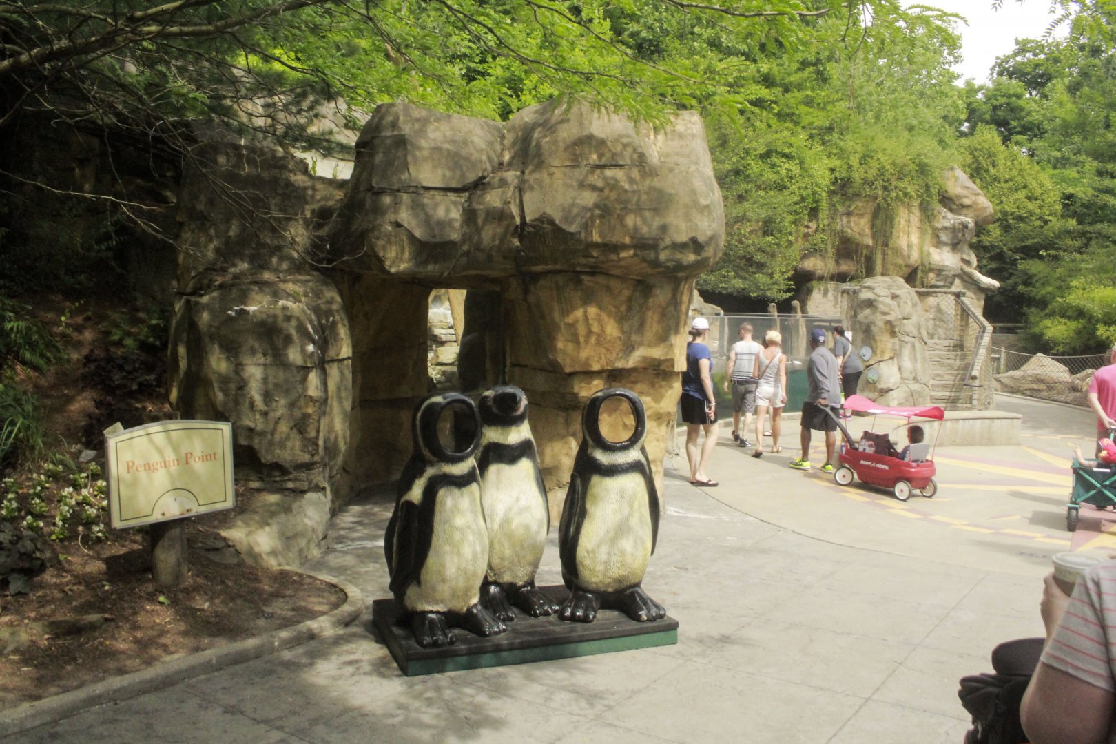 Jun. 2017 - Penguin Point