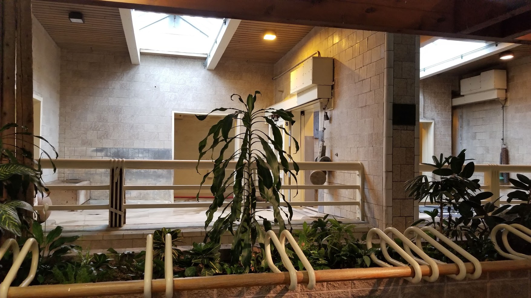 Jun. 2018 - African Grasslands - Indoor White Rhino Facility