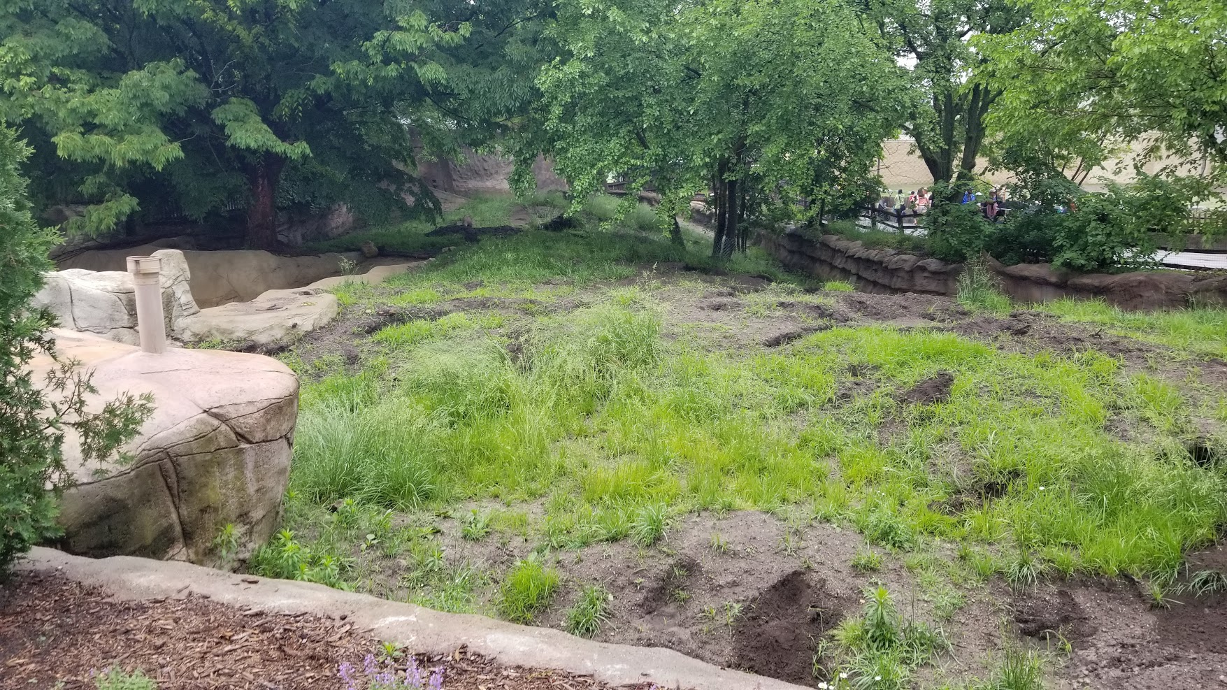 Jun. 2018 - African Grasslands - Massive Aardvark Exhibit