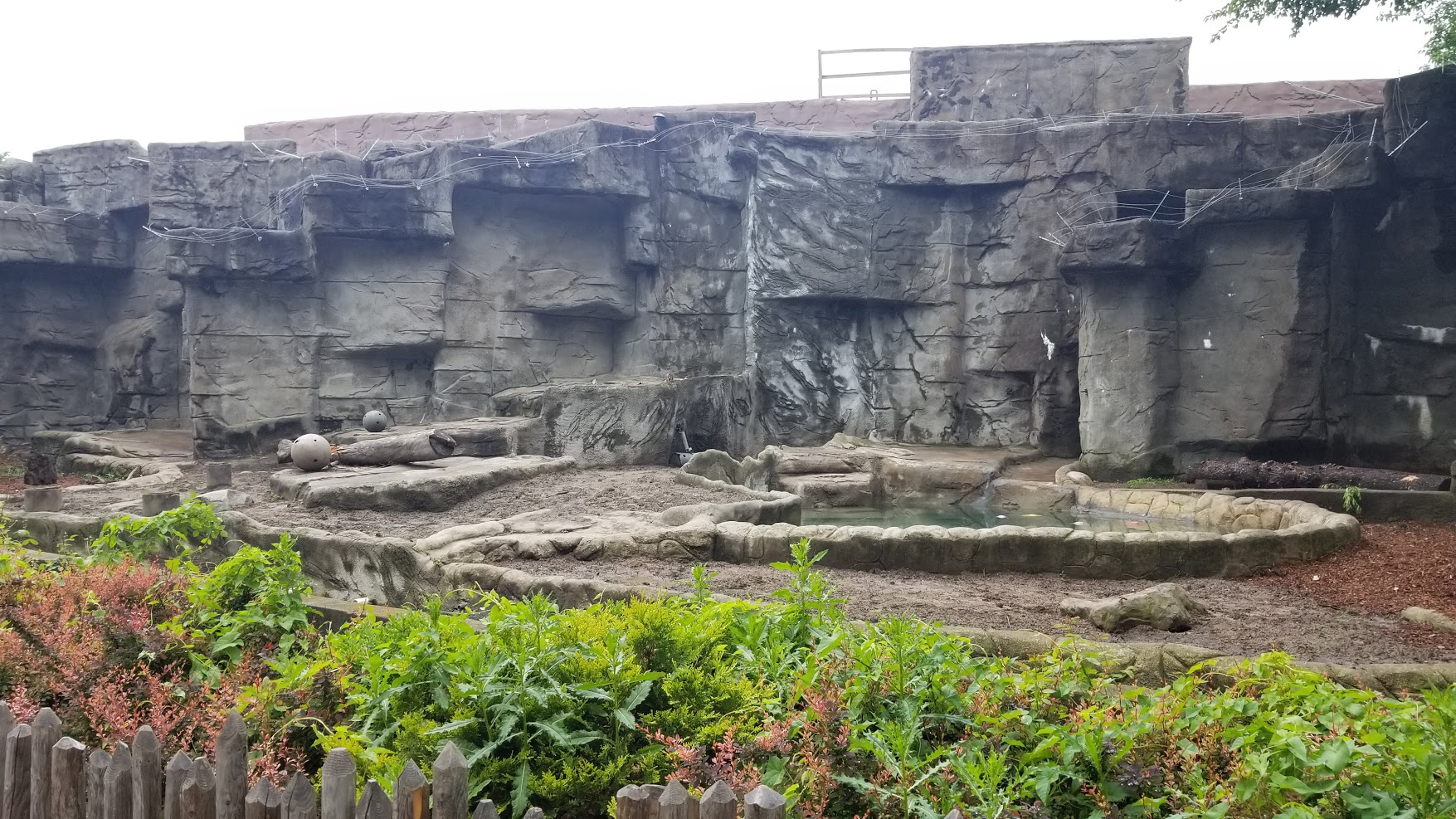 Jun. 2018 - American Grasslands - Empty Bear Exhibit