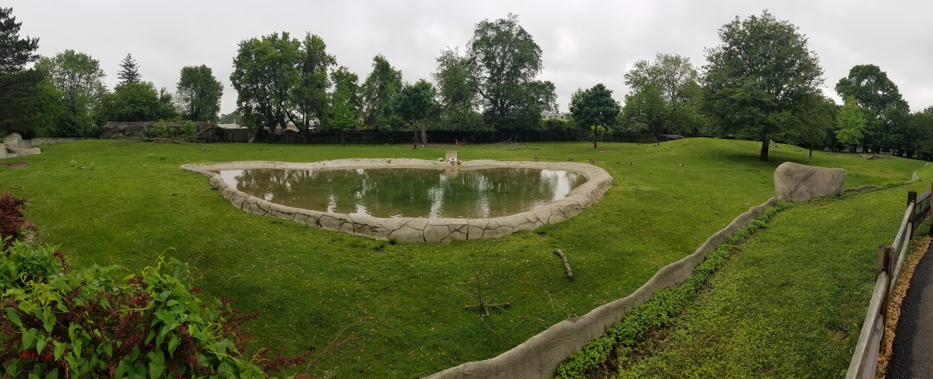 Jun. 2018 - American Grasslands - Guanaco, Collared Peccary, Fallow Deer, Crested Screamer Exhibit