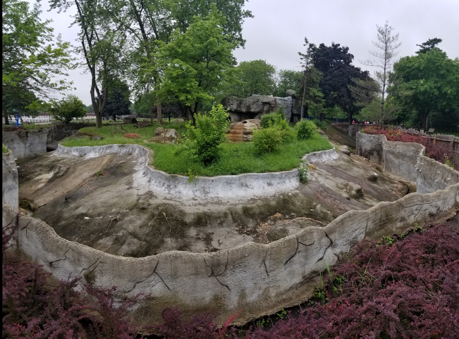 Jun. 2018 - American Grasslands - Wolverine Exhibit Panorama