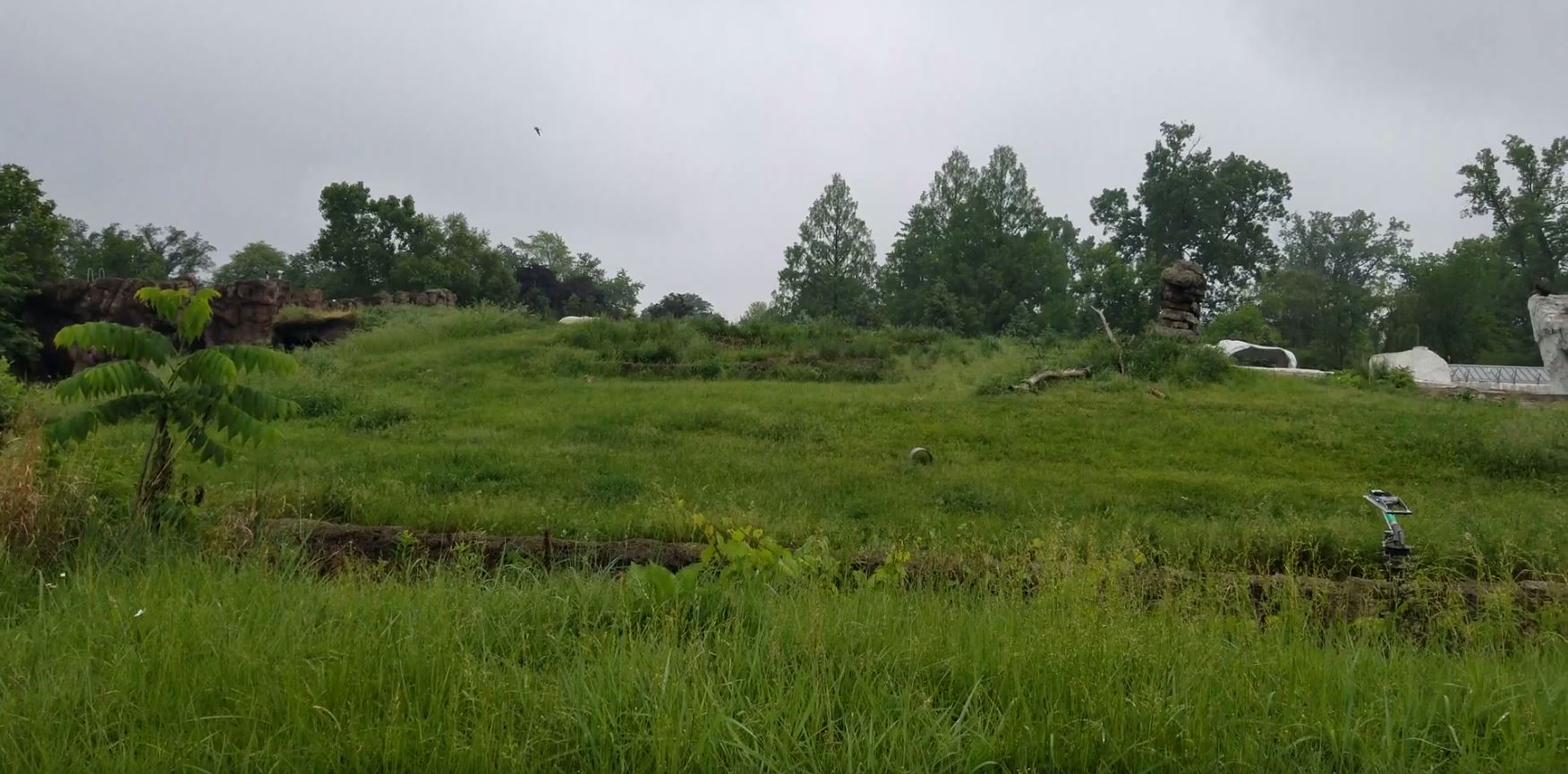 Jun. 2018 - Arctic Ring of the Life - First Polar Bear Exhibit