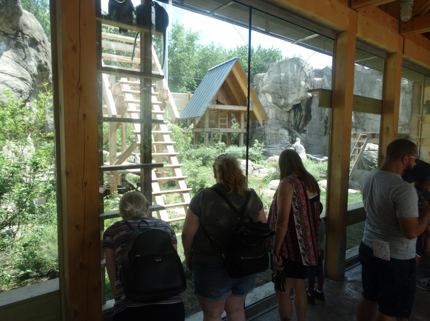 Jun. 2018 - Marine Mammals - New! Long-tailed Macaque Exhibit