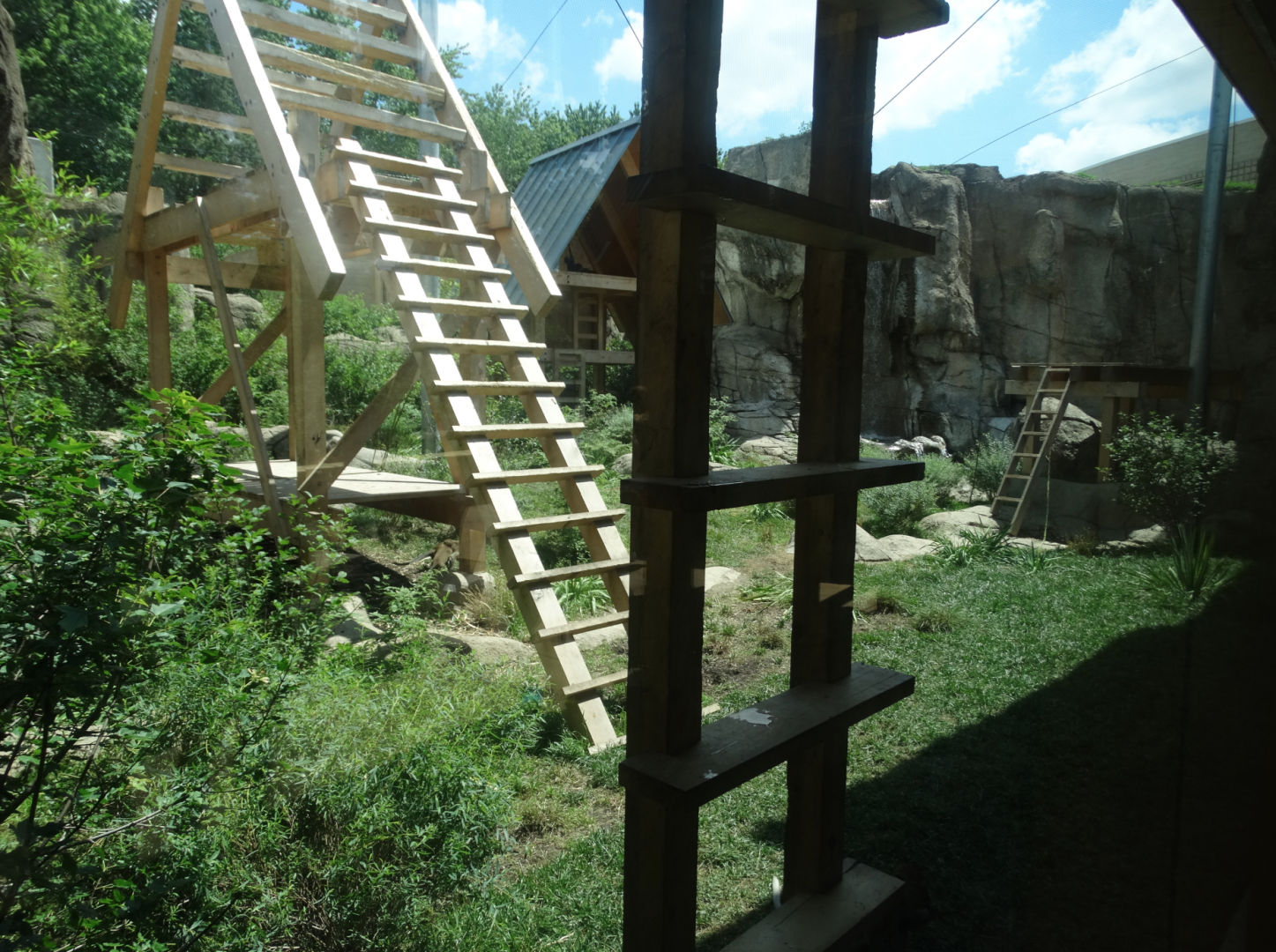 Jun. 2018 - Marine Mammals - New! Long-tailed Macaque Exhibit