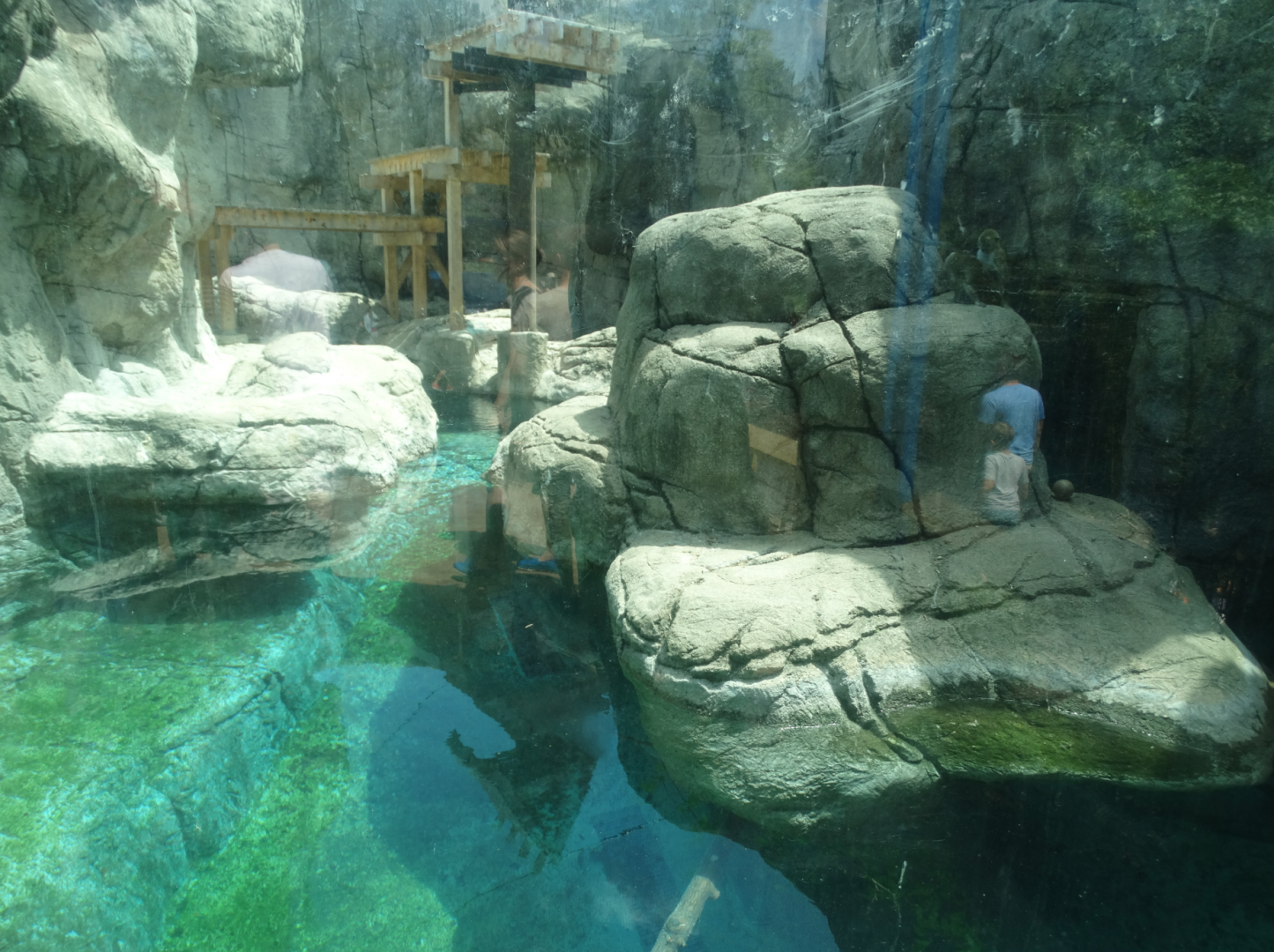 Jun. 2018 - Marine Mammals - New! Long-tailed Macaque Exhibit
