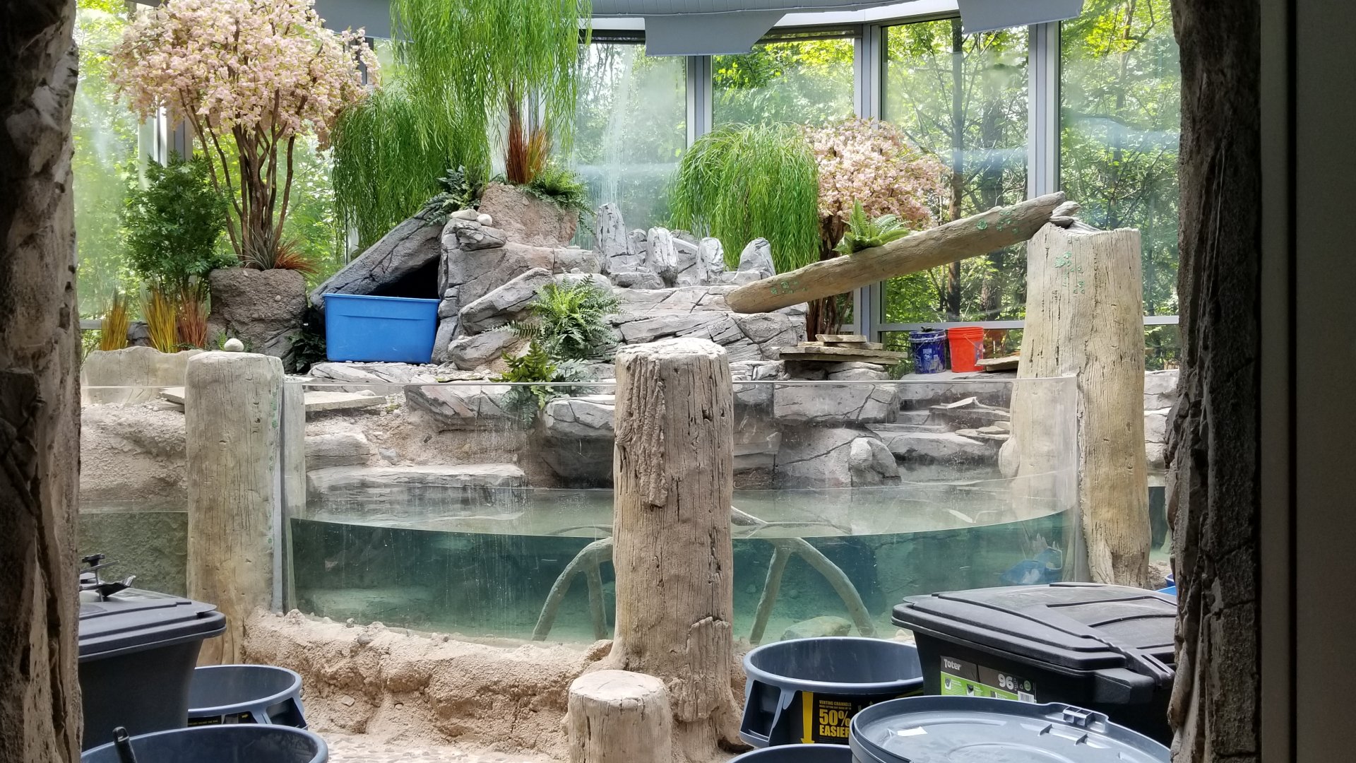 Jun. 2018 - National Amphibian Conservation Center - Future Giant Salamander Room