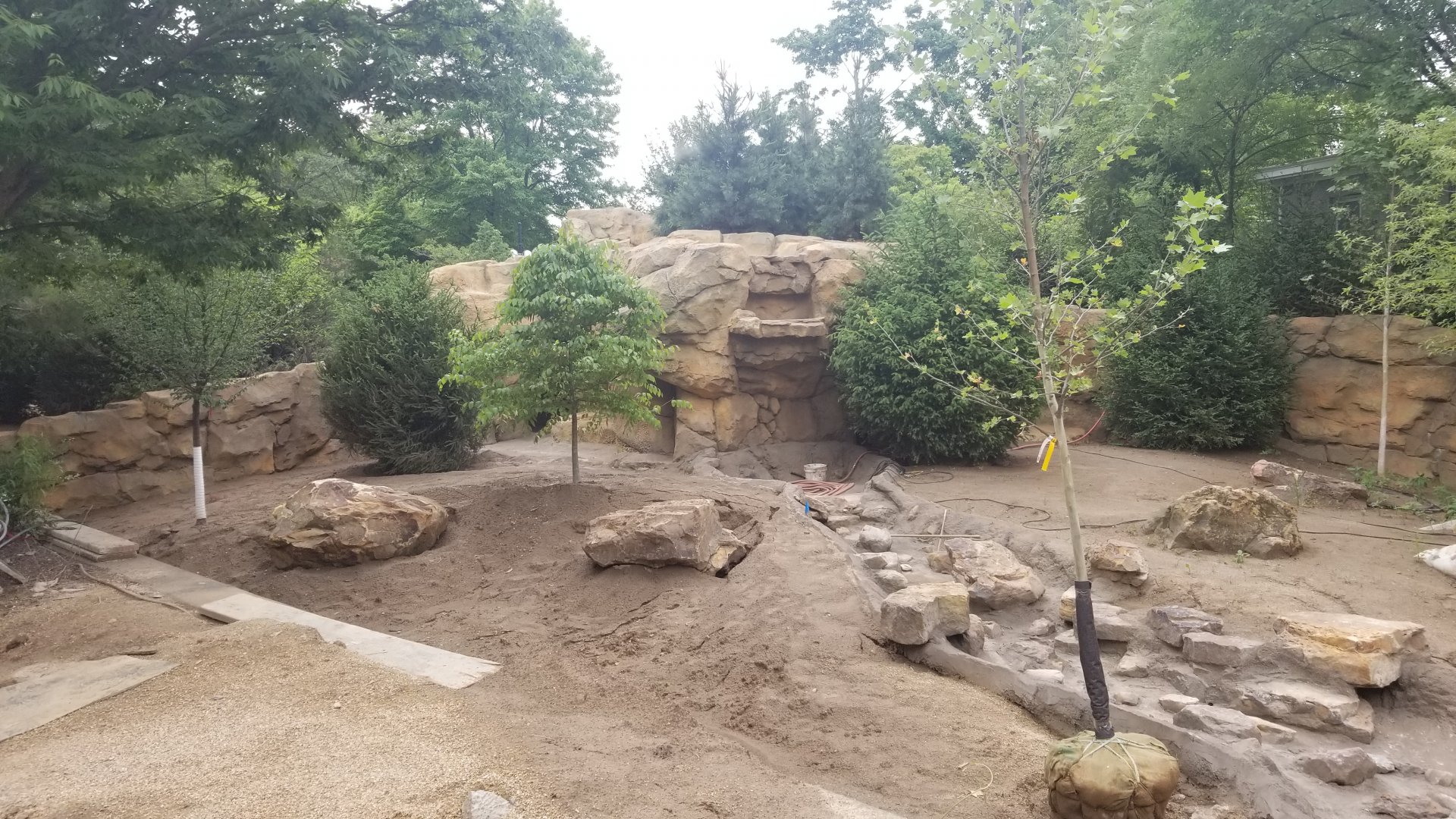 Jun. 2018 - New! Bald Eagle Exhibit (Near Finished)