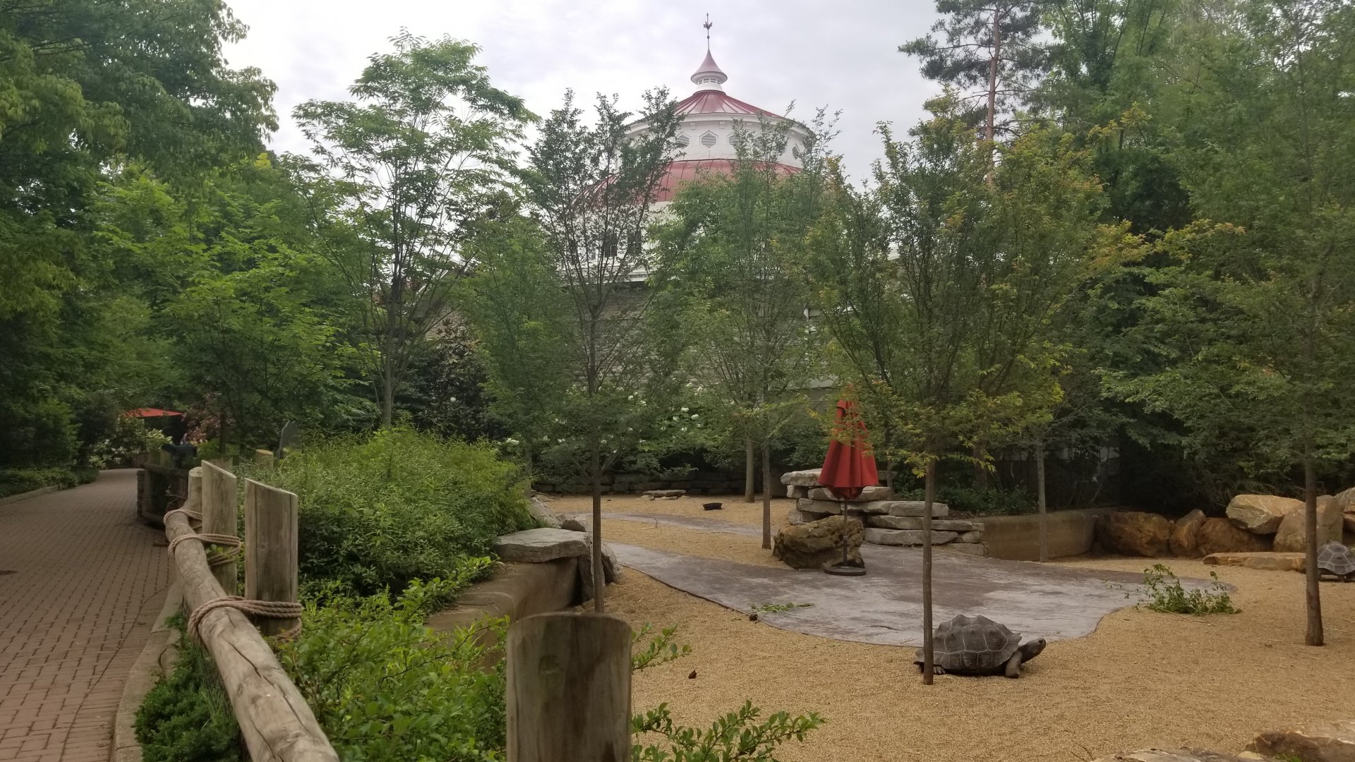 Jun. 2018 - New! Galapagos Tortoise Expansion