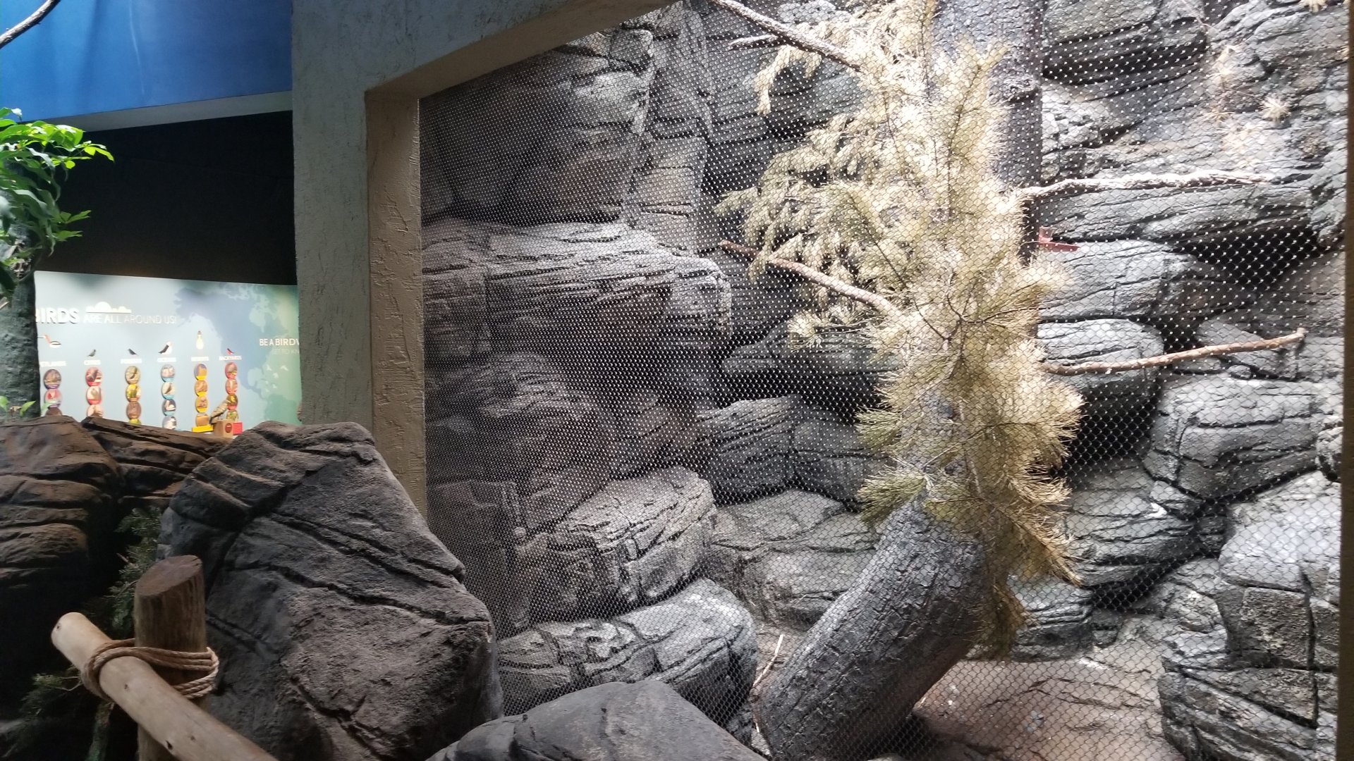 Jun. 2018 - New! Wings of the World Renovation - Mexico Exhibit