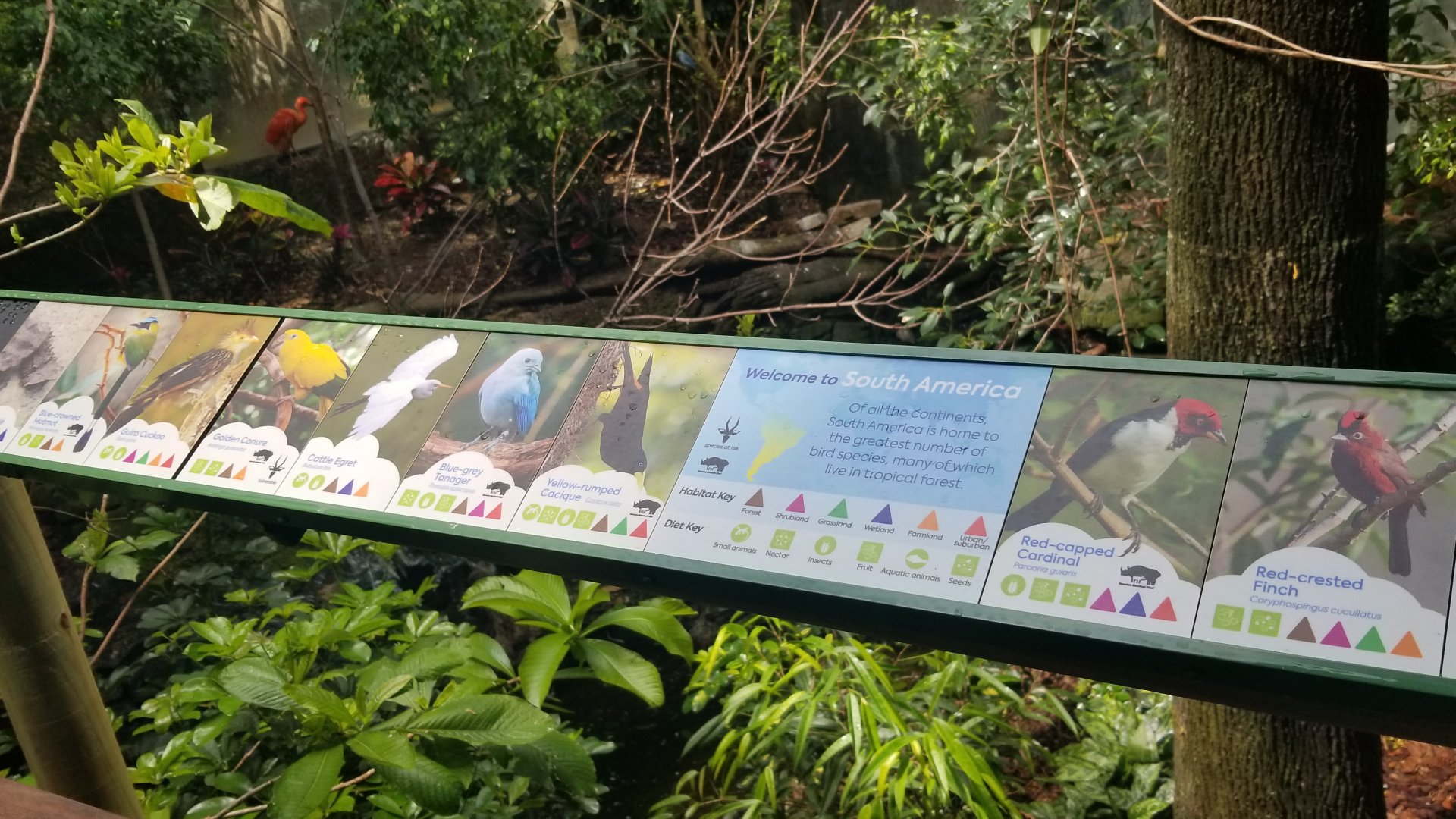 Jun. 2018 - New! Wings of the World Renovations - Newly Design Signs