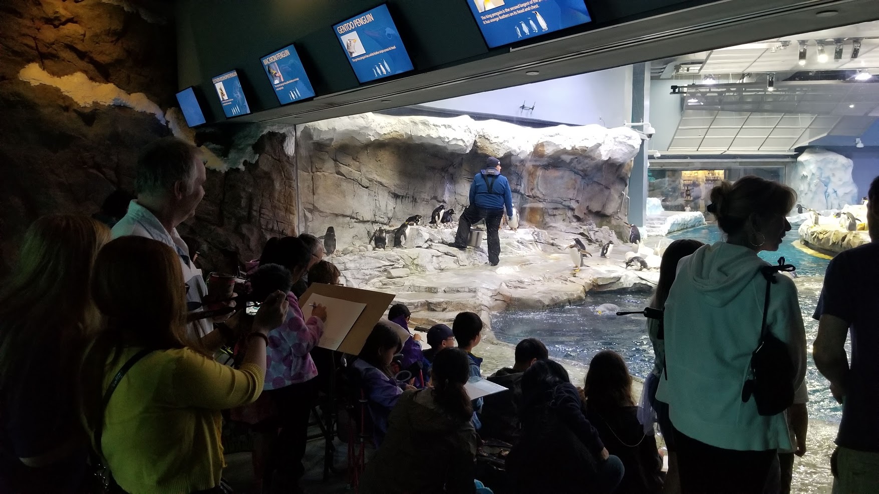 Jun. 2018 - Penguin Conservation Center Viewing