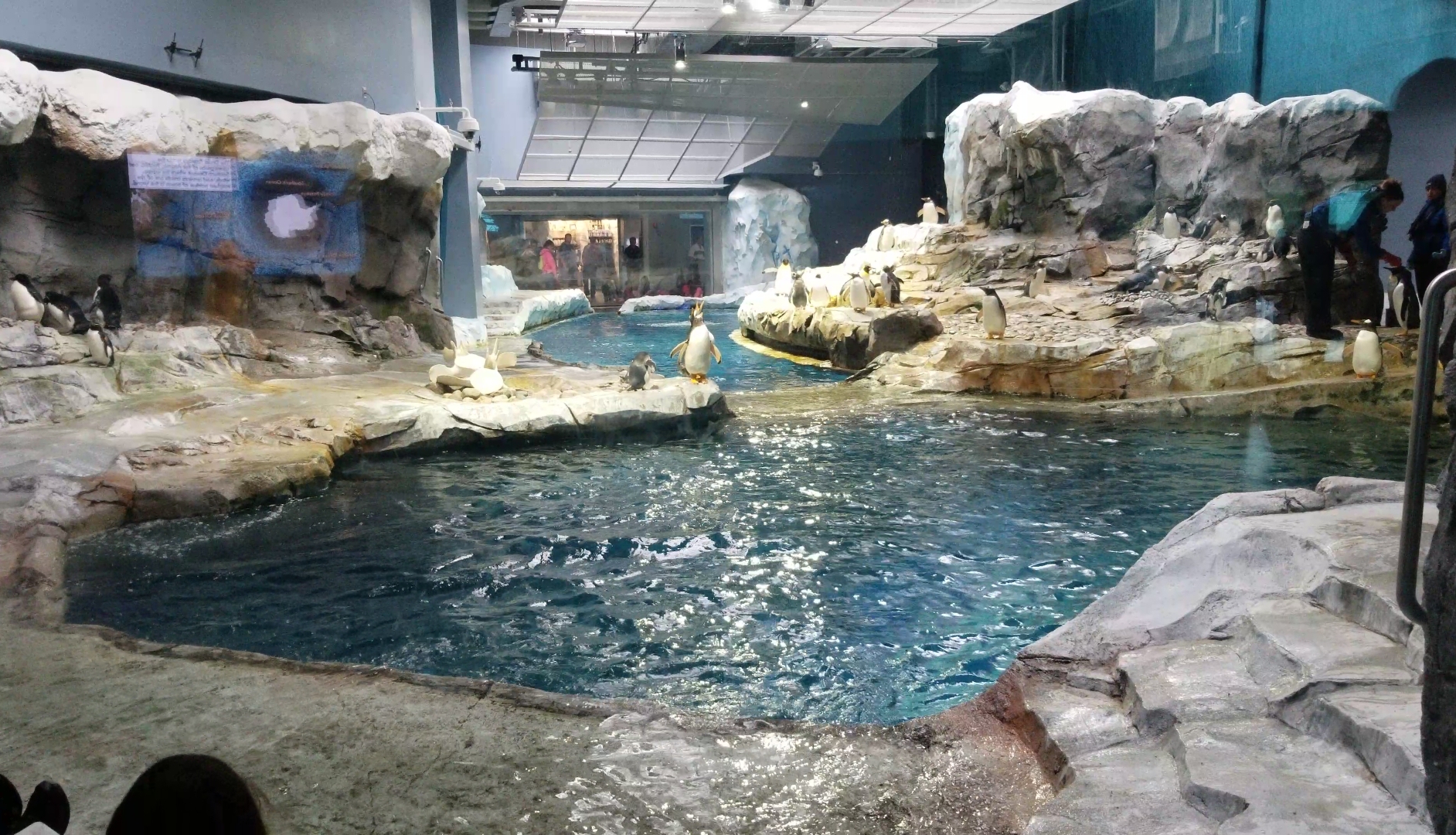 Jun. 2018 - Penguin Conversation Center