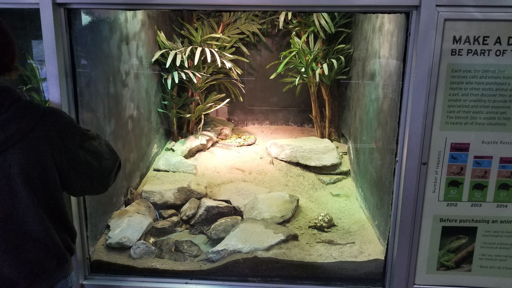 Jun. 2018 - Reptile Conservation Center - Star Tortoise Exhibit