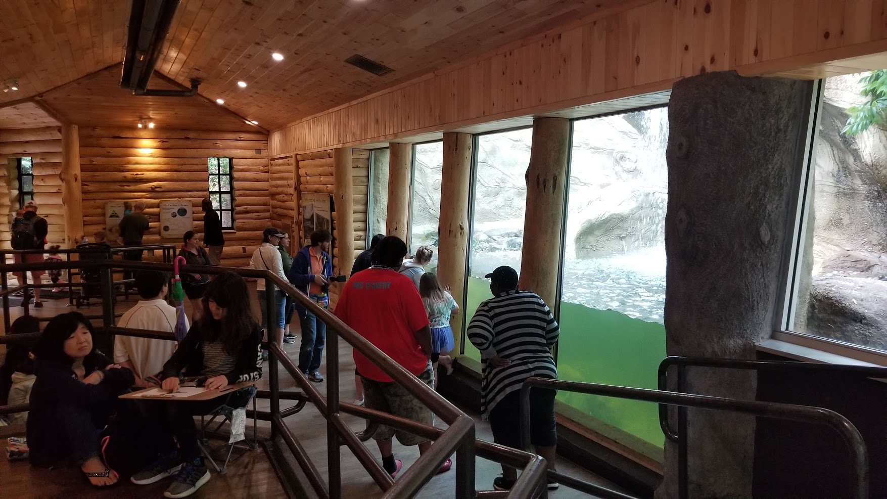 Jun. 2018 - River Otter Exhibit Viewing