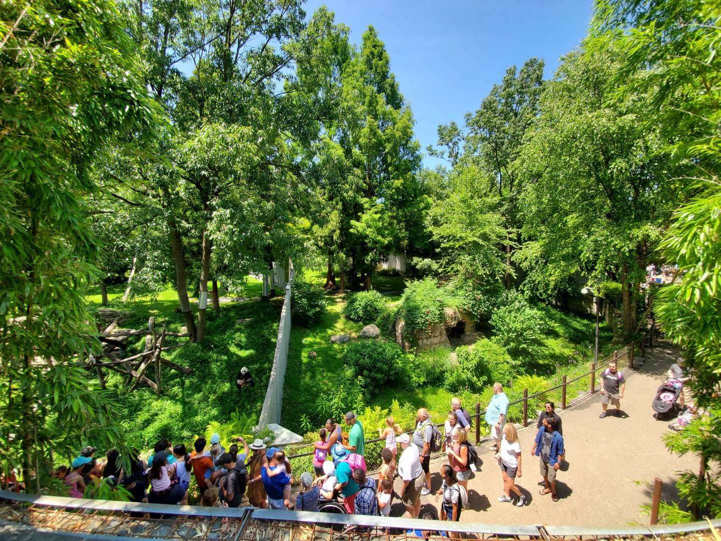 Jun. 2019 - Asia Trail - Giant Panda Overlook