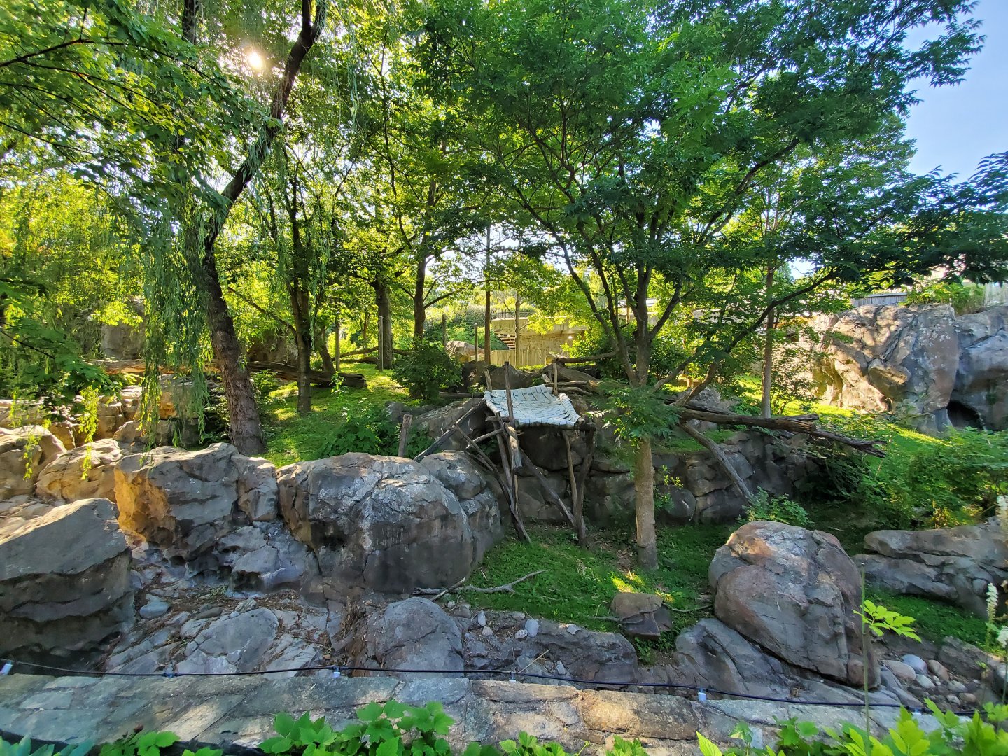 Jun. 2019 - Asia Trail - Main/Left Giant Panda Exhibit