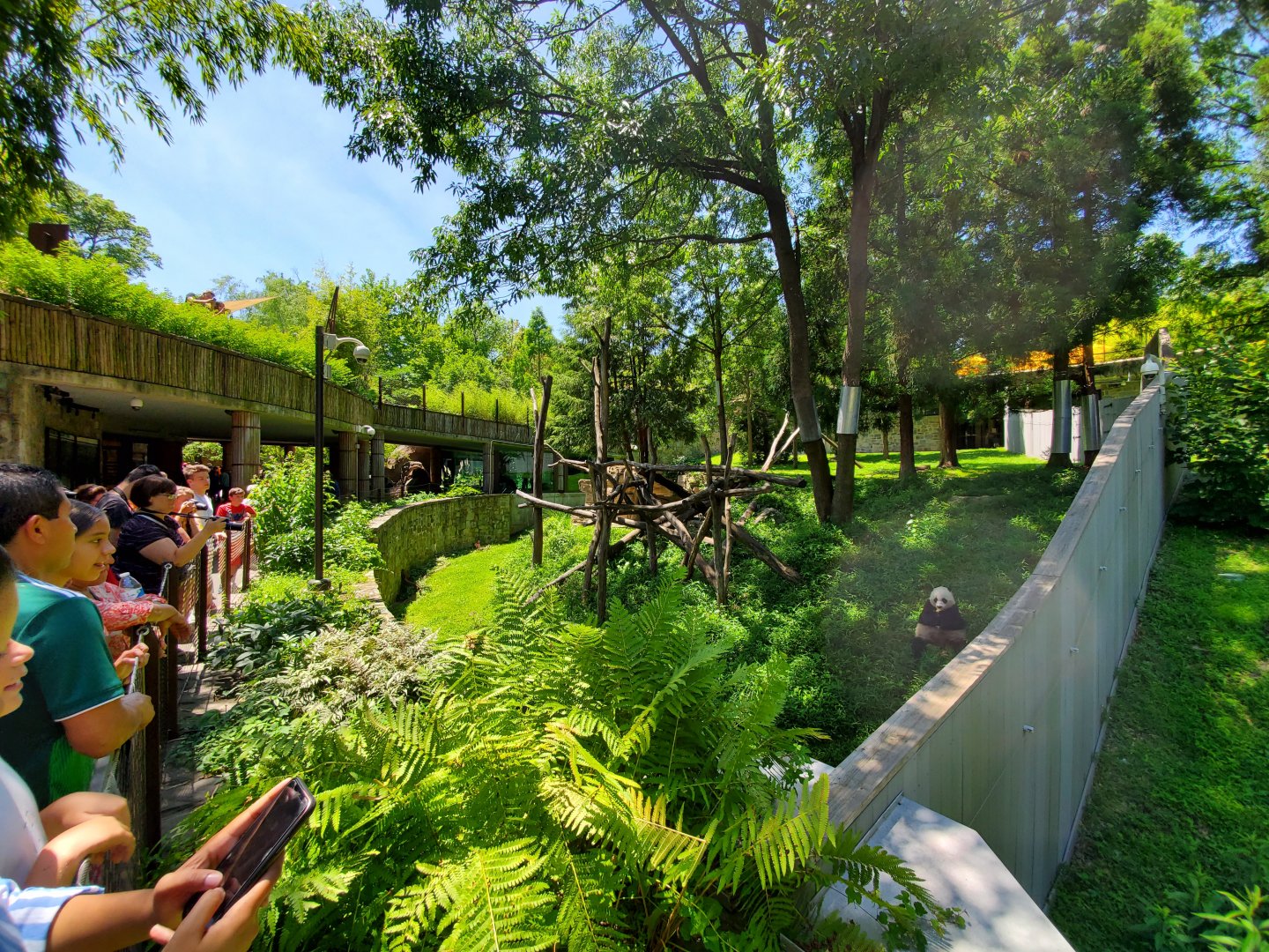 Jun. 2019 - Asia Trail - Middle Giant Panda Exhibit