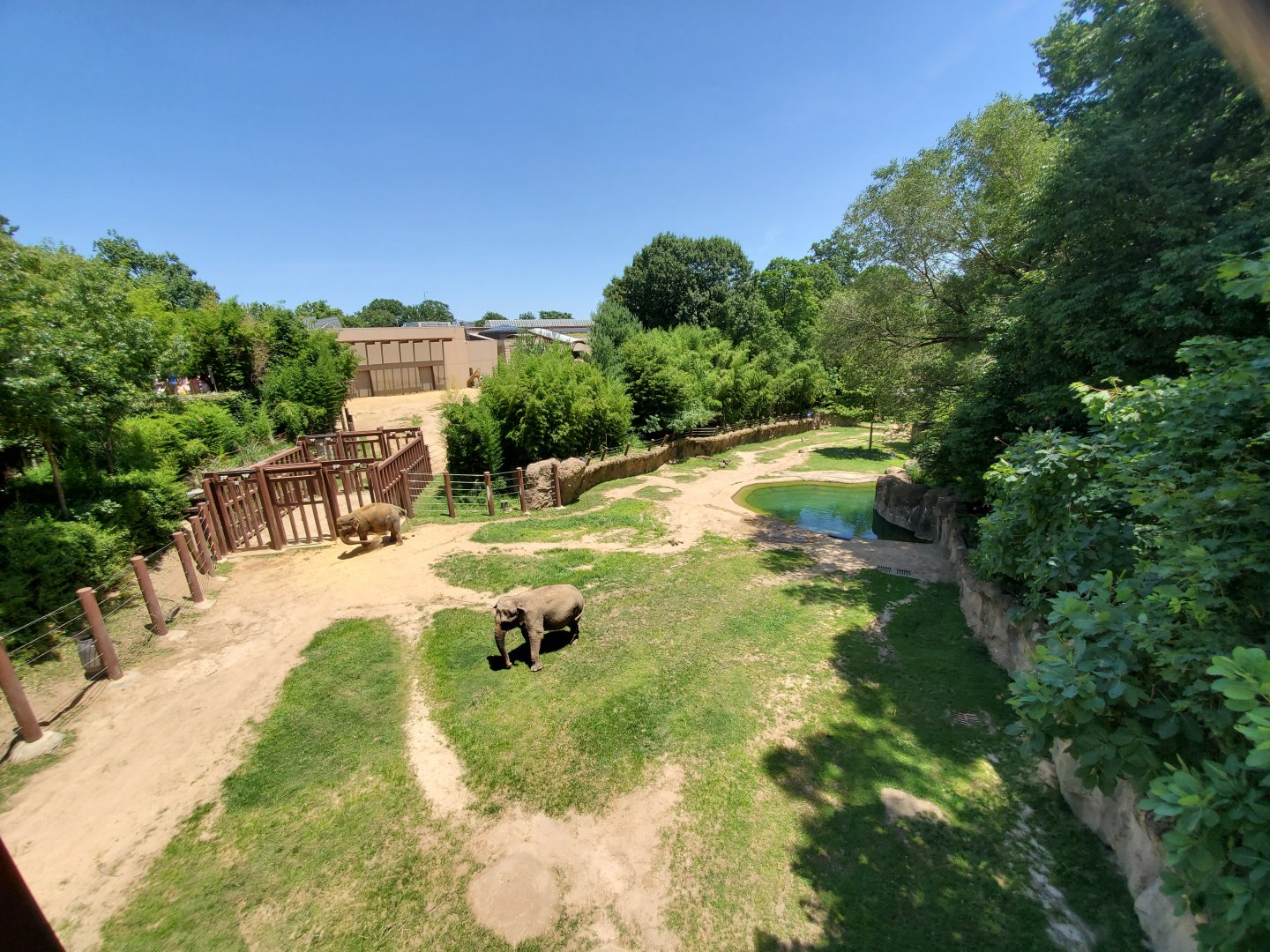 Jun. 2019 - Elephant Trails