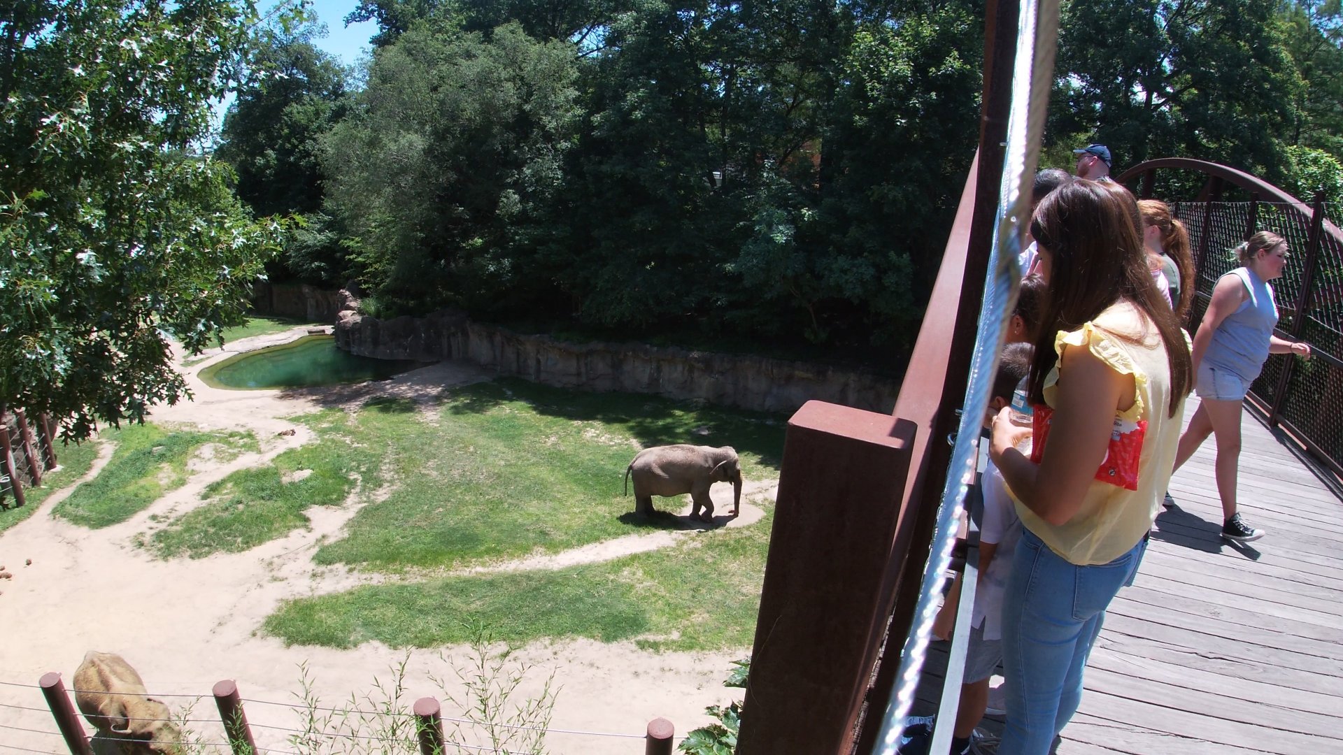 Jun. 2019 - Elephant Trails