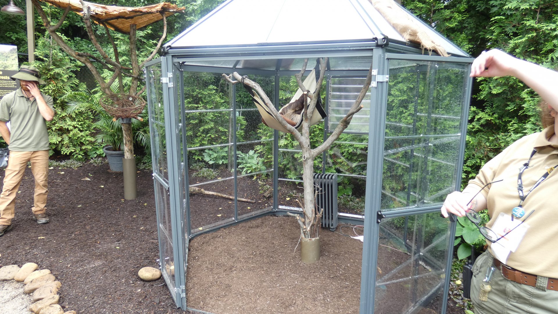 Jun. 2019 - New! MISTery Park - Linne's Two-toed Sloth Exhibit