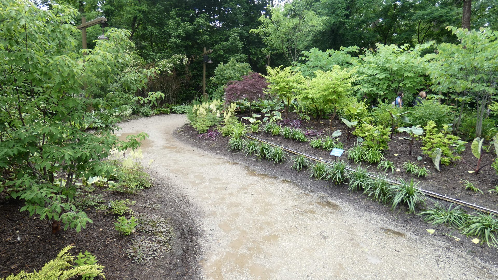 Jun. 2019 - New! MISTery Park