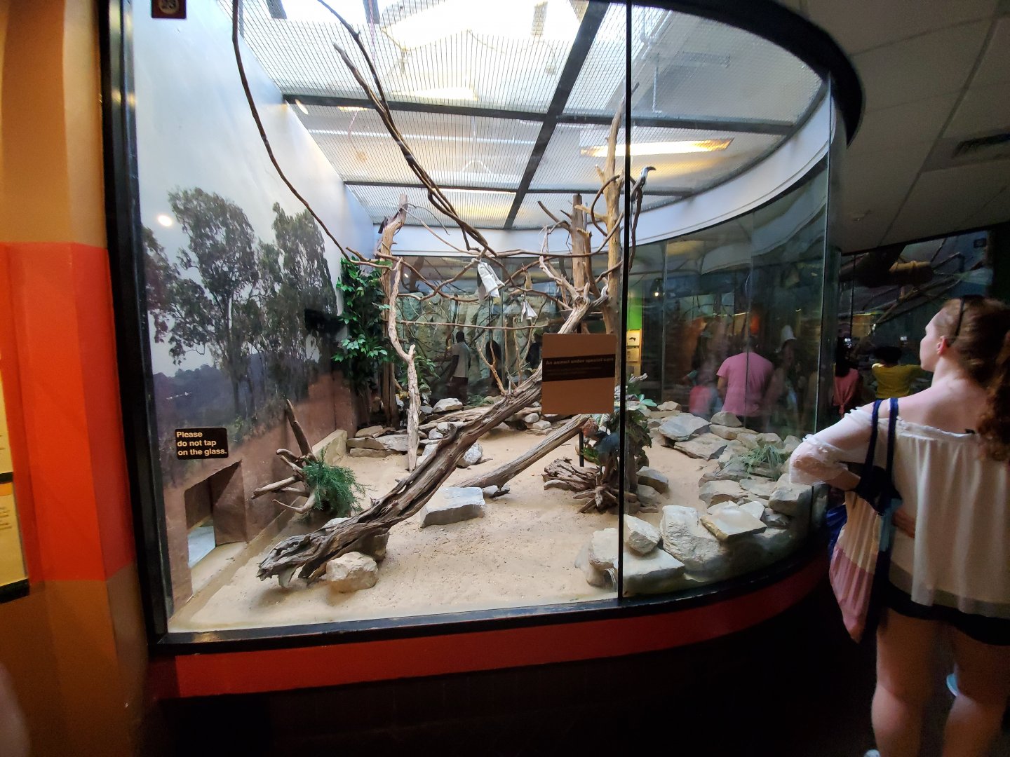 Jun. 2019 - Small Mammal House - Von der Decken's Hornbill/Meerkat Exhibit