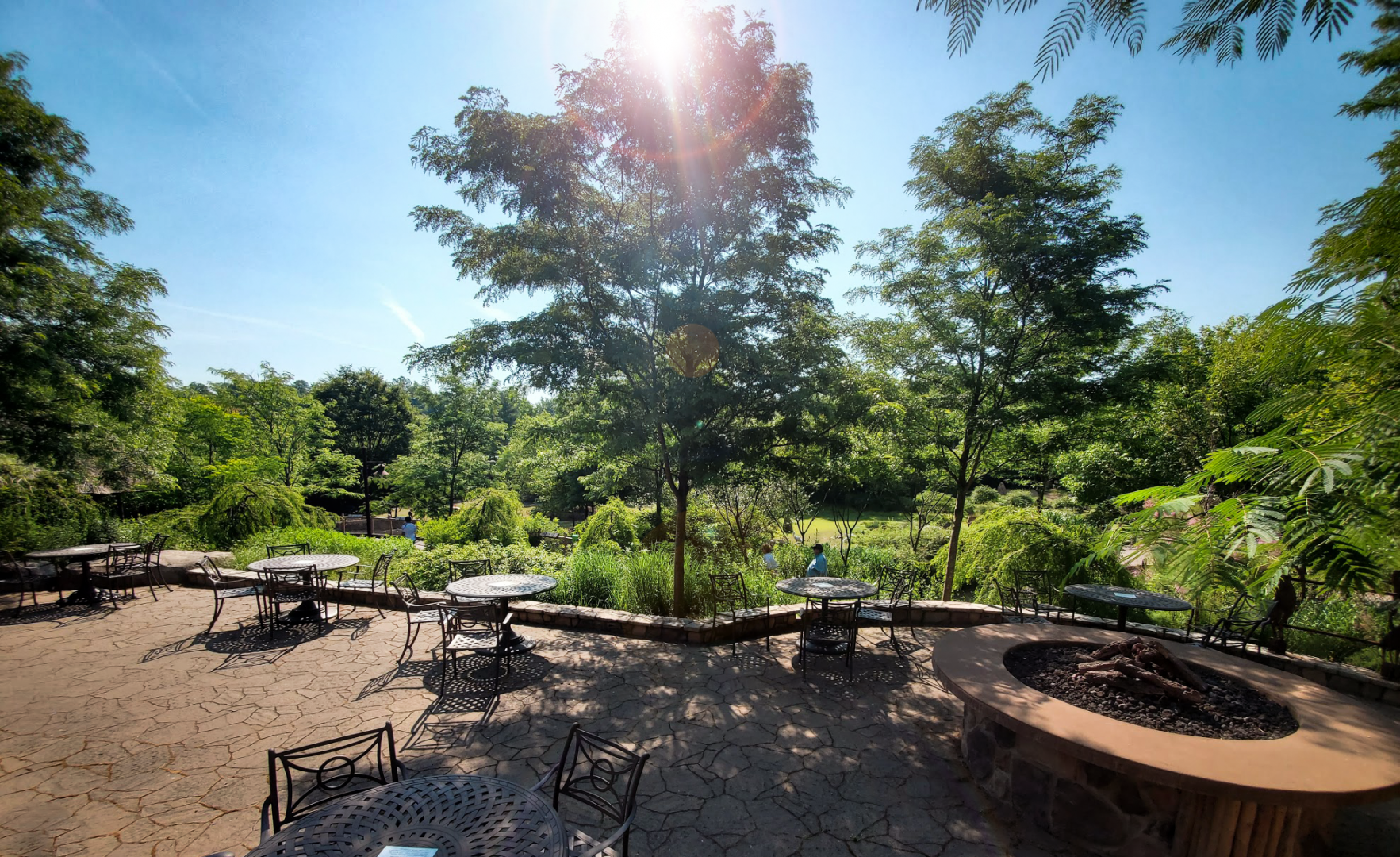 Jun. 2020 - Africa - Base Camp Cafe - Plains Overlook