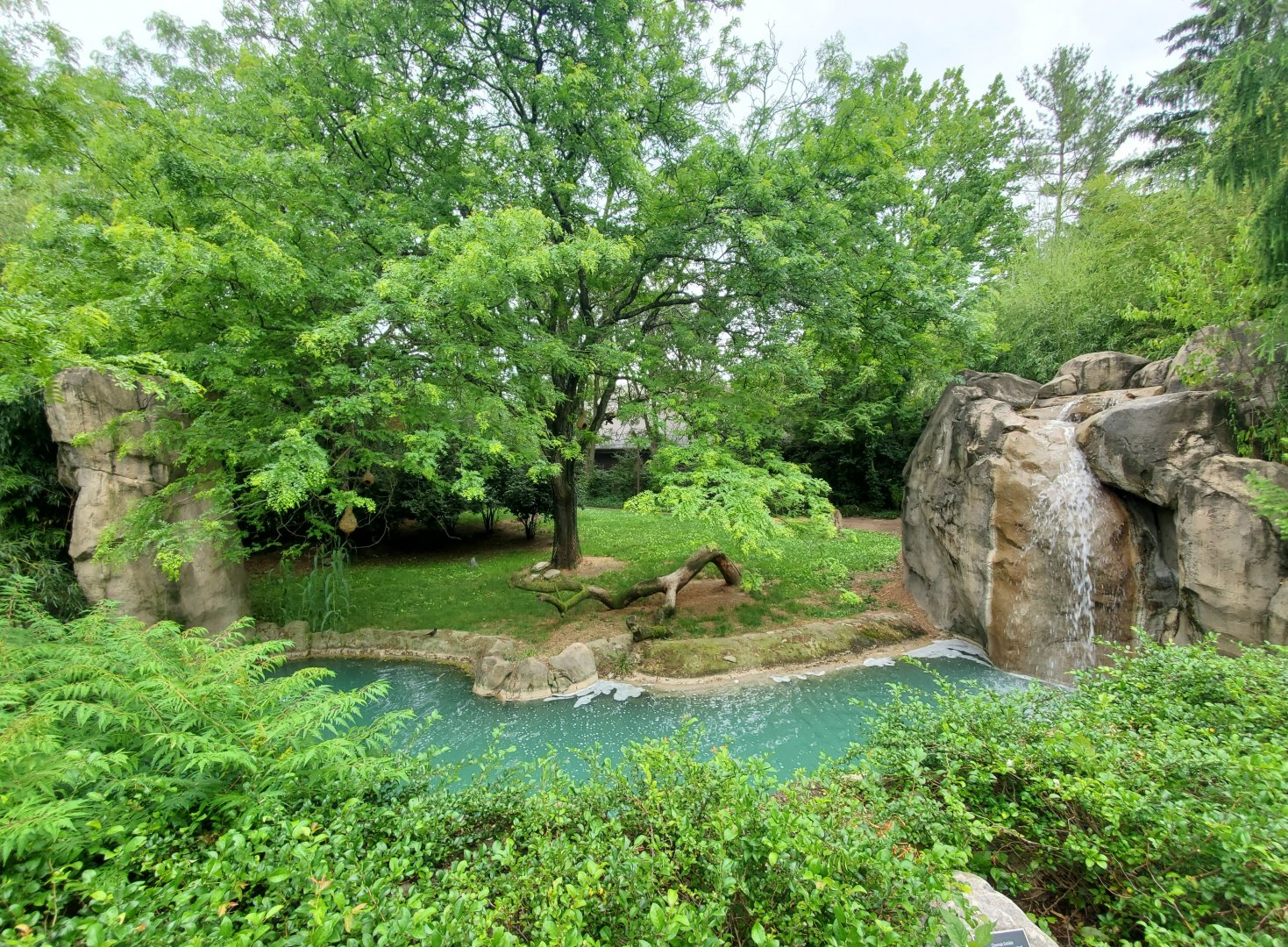 Jun. 2020 - Africa - Cheetah Exhibit