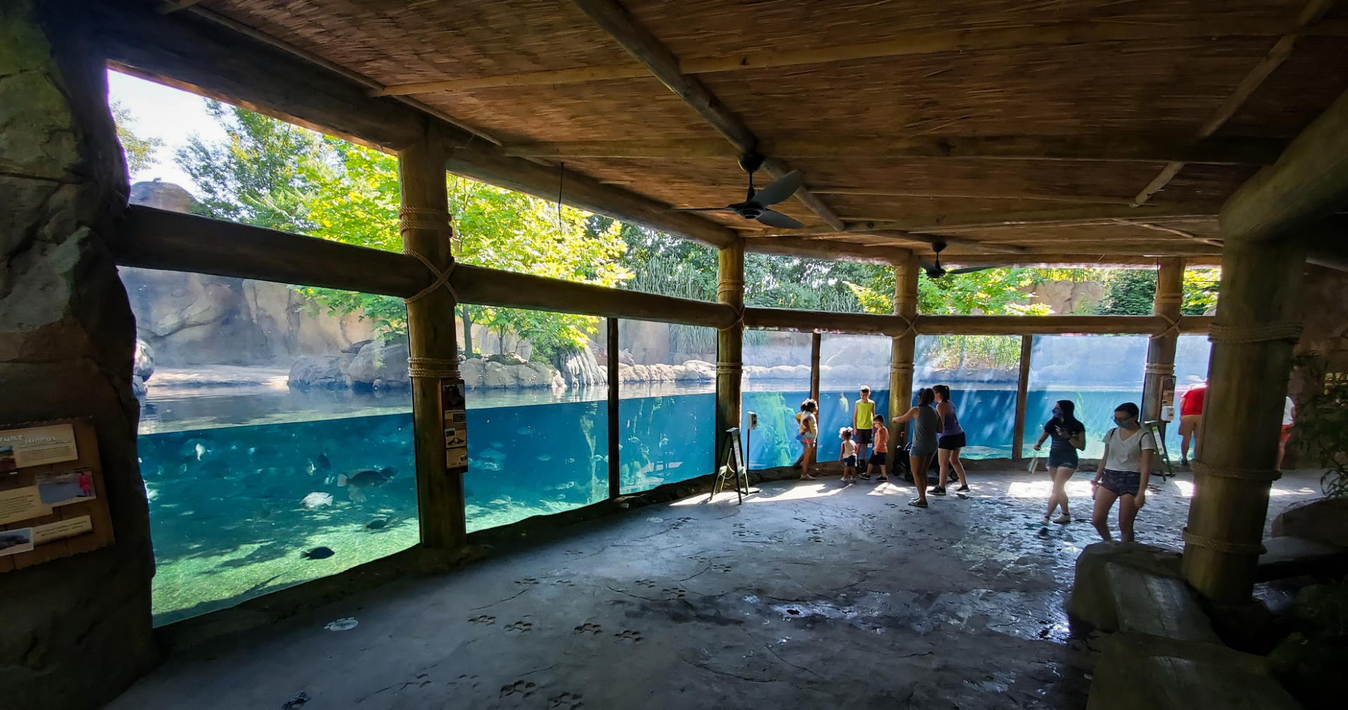 Jun. 2020 - Africa - Hippo Cove Underwater Viewing