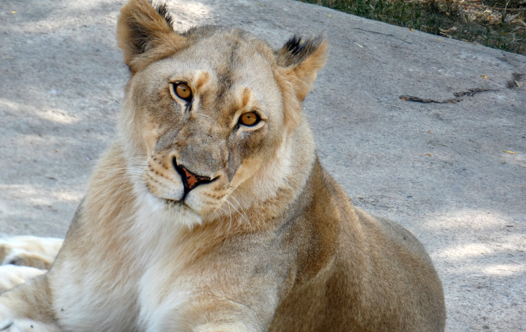 Jun. 2020 - Africa - Imani