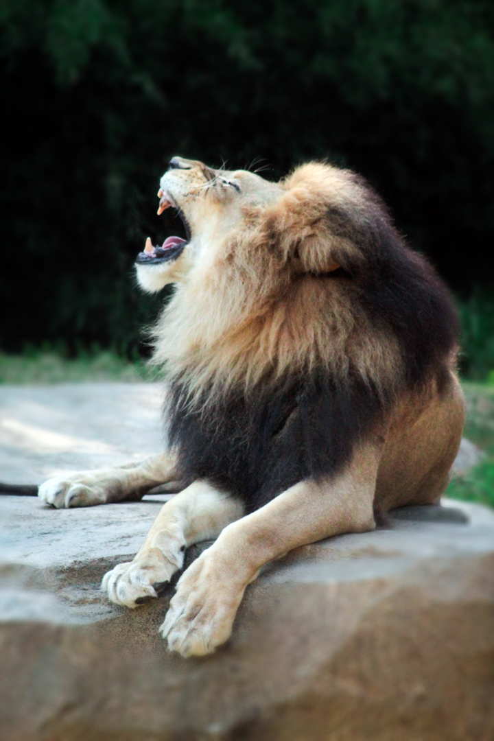 Jun. 2020 - Africa - John