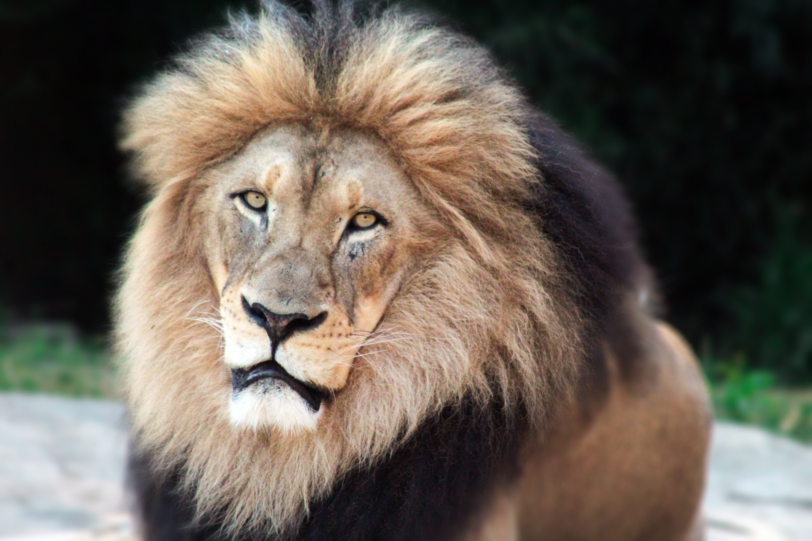 Jun. 2020 - Africa - John