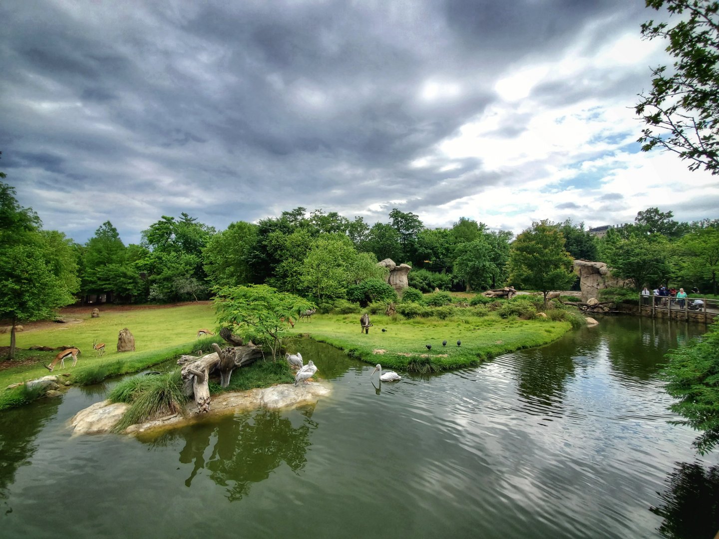 Jun. 2020 - Africa - Plains + Lion Exhibit