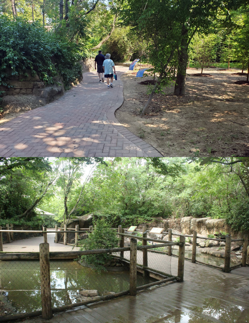 Jun. 2020 - Children's Zoo - Penguin Walkabout Removed