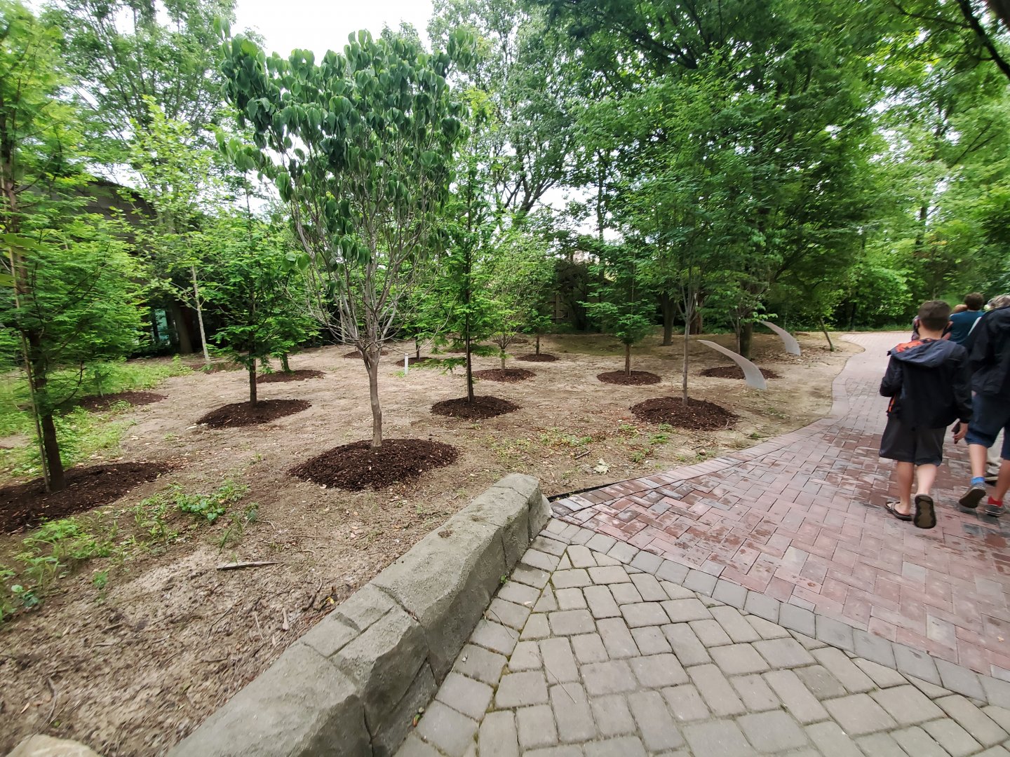 Jun. 2020 - Children's Zoo - Removed Penguin Walkabout