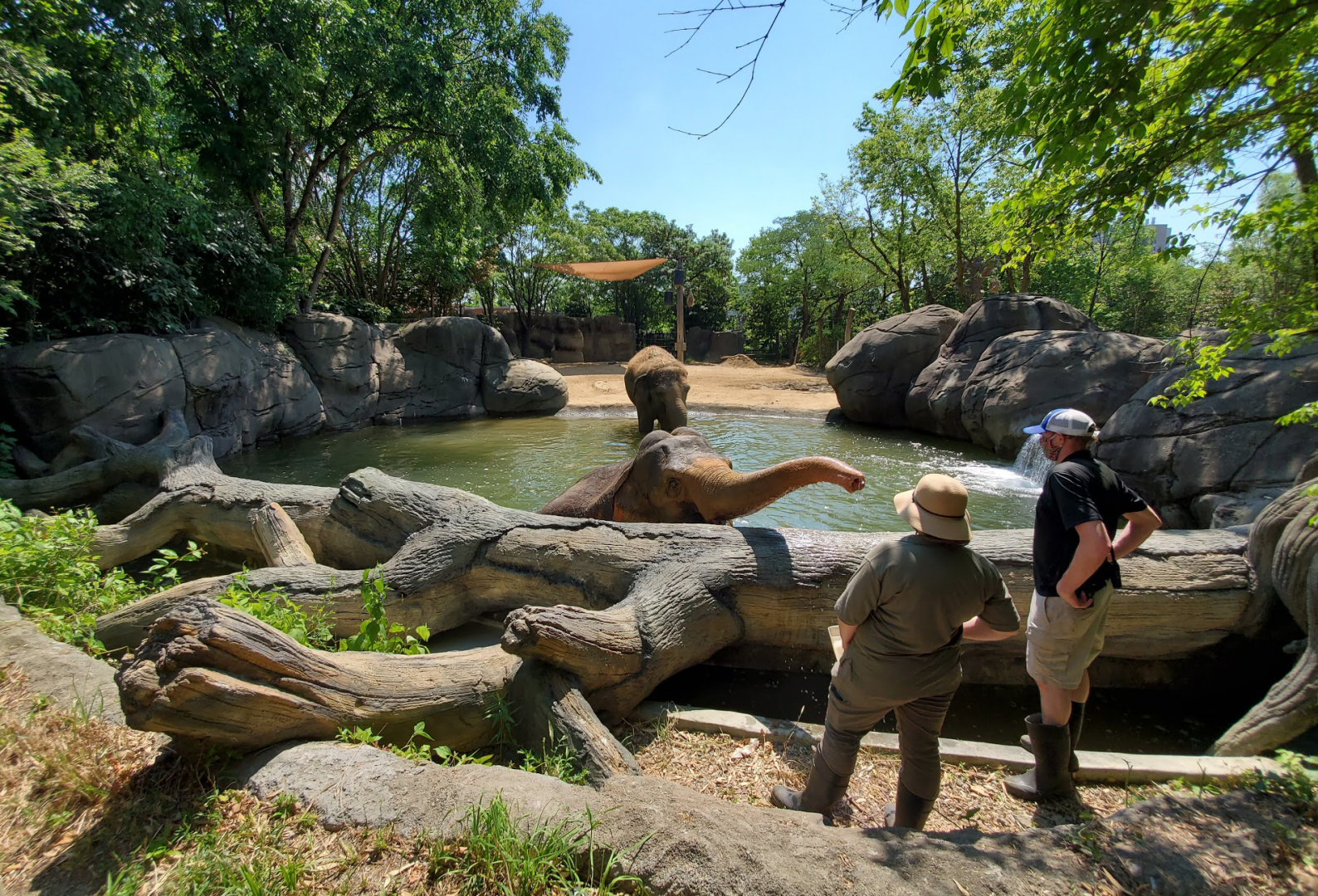 Jun. 2020 - Elephant Reserve - Right Indian Elephant Exhibit Pool