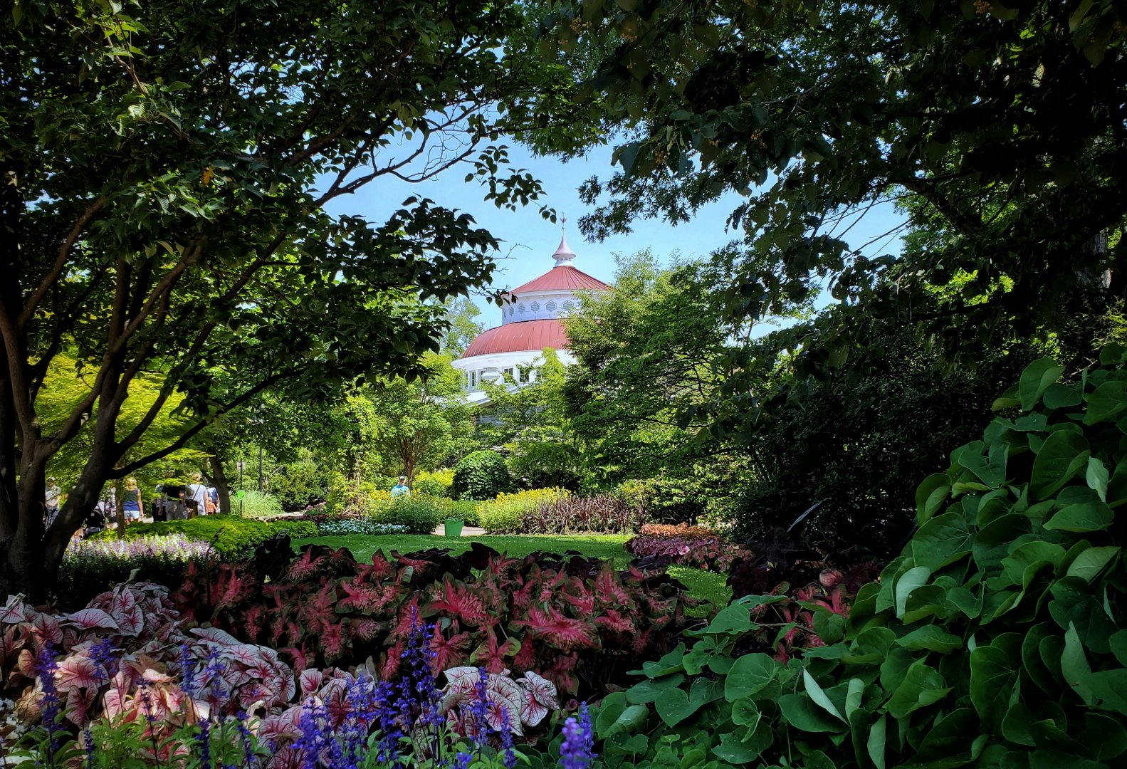 Jun. 2020 - Floral Garden + Reptile House