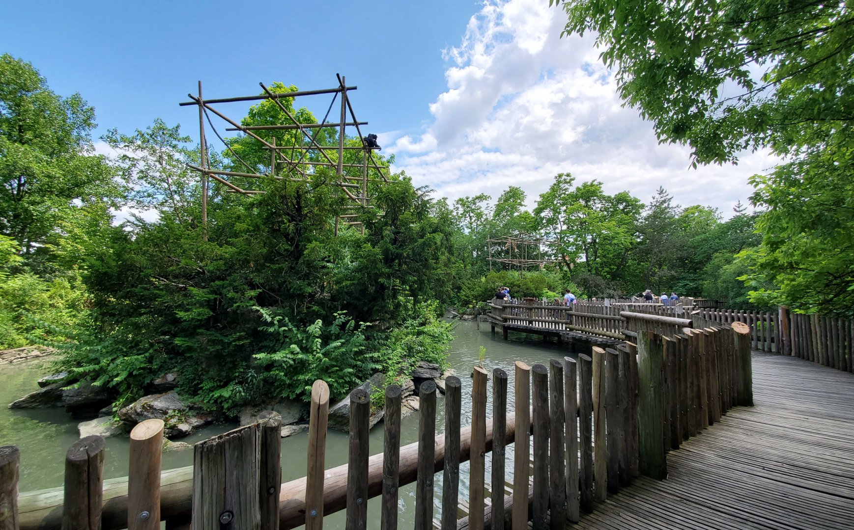 Jun. 2020 - Gibbon Islands