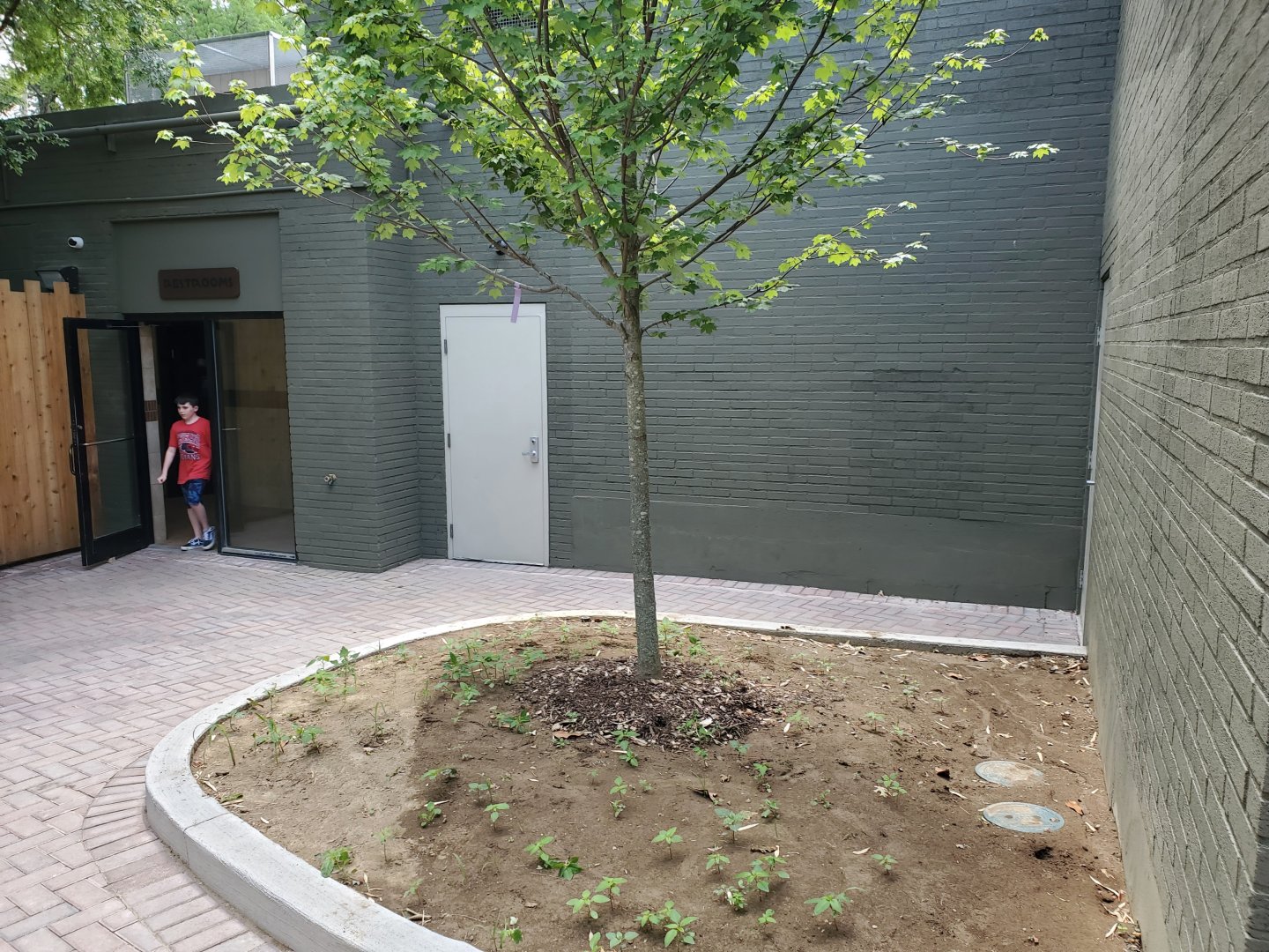 Jun. 2020 - Mai Thai's Market - No More Bird Cage