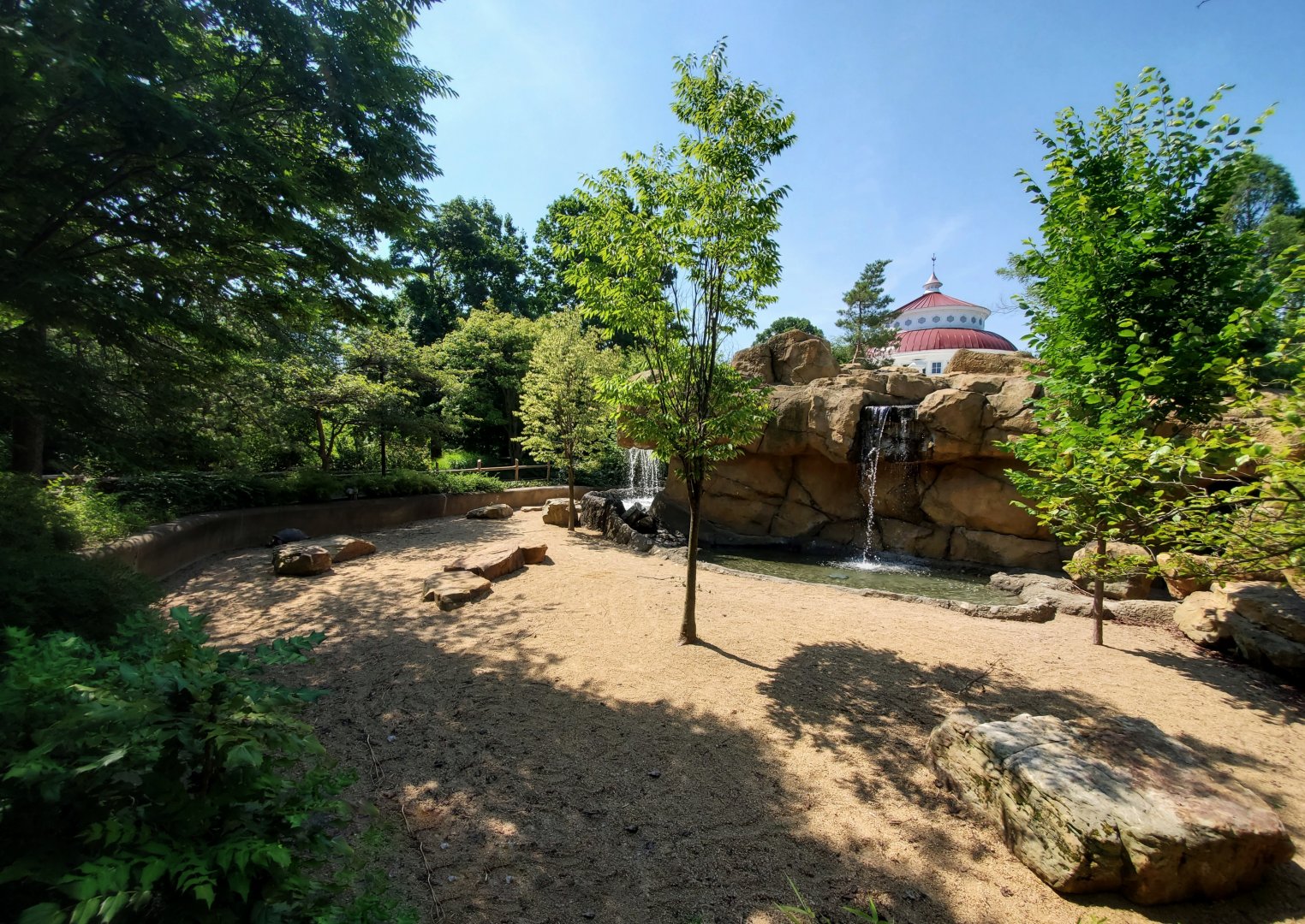Jun. 2020 - Reptile House - Galapagos Tortoise Exhibit (Former Monkey Island)
