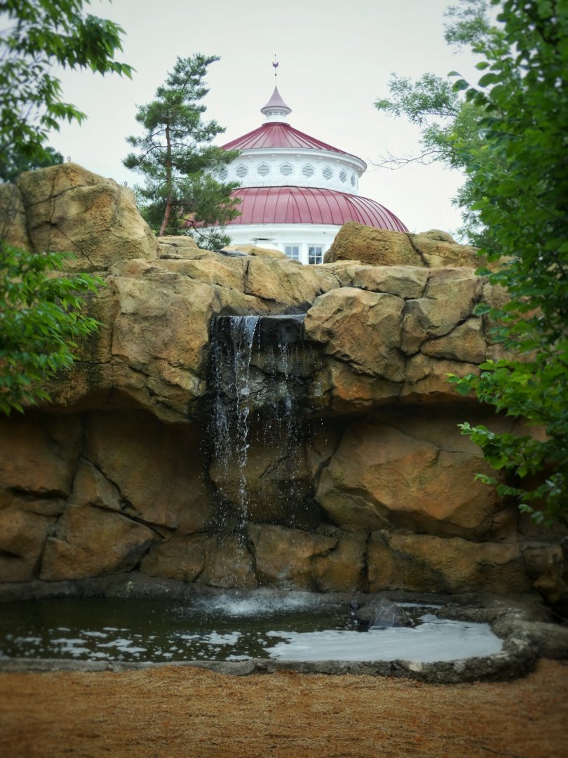 Jun. 2020 - Reptile House + Galapagos Tortoise Exhibit