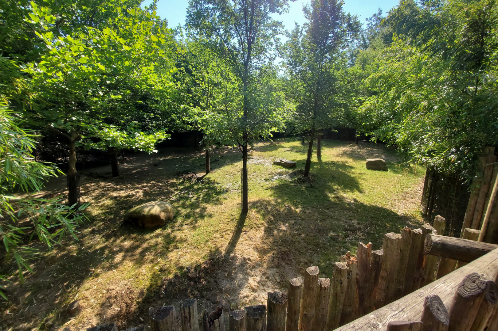Jun. 2020 - Rhino Reserve - Eastern Bongo Exhibit