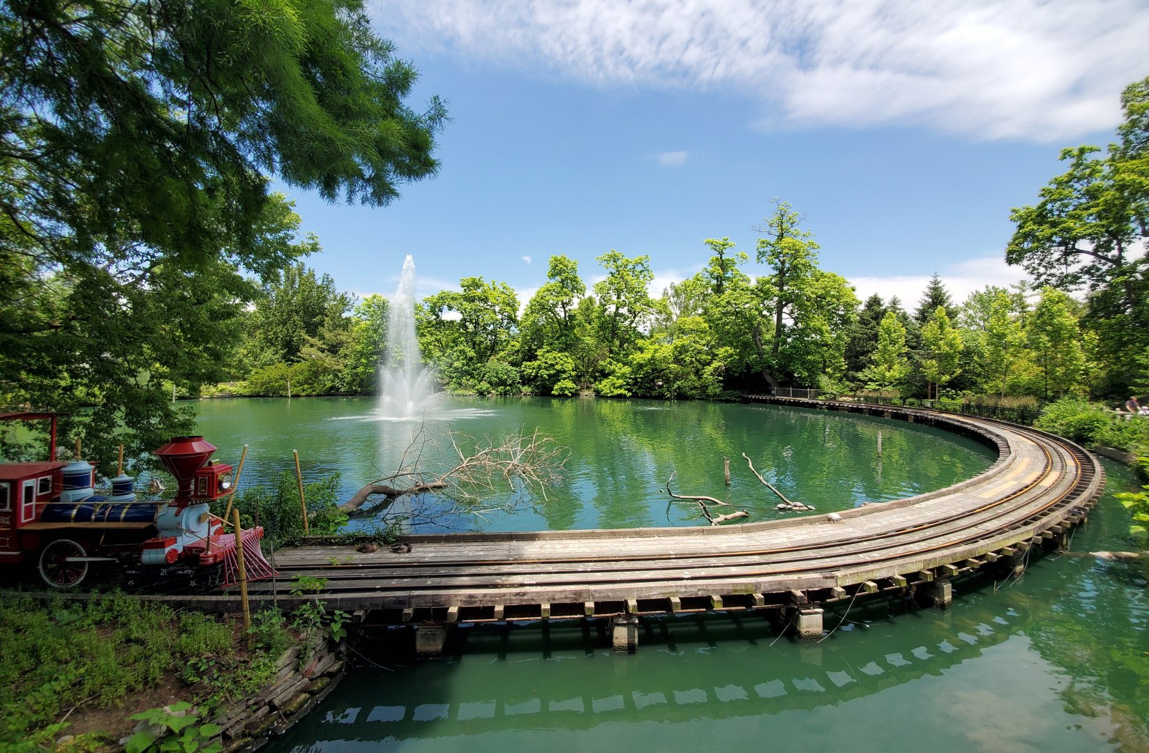 Jun. 2020 - Swan Lake