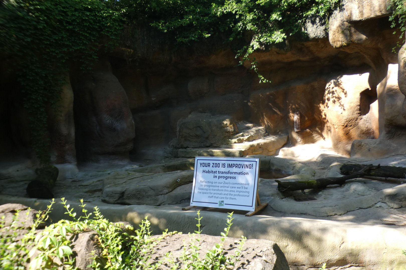 Jun. 2021 - Bear Hill - Empty Black Bear Exhibit
